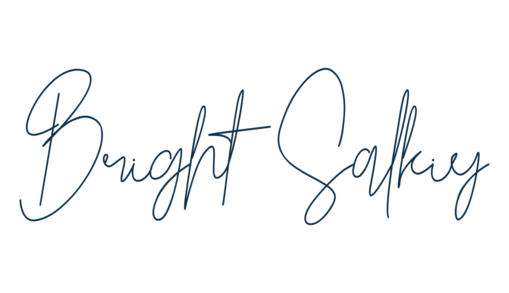 Bright Salkiy, script handwritten fancy decorative calligraphy font preview