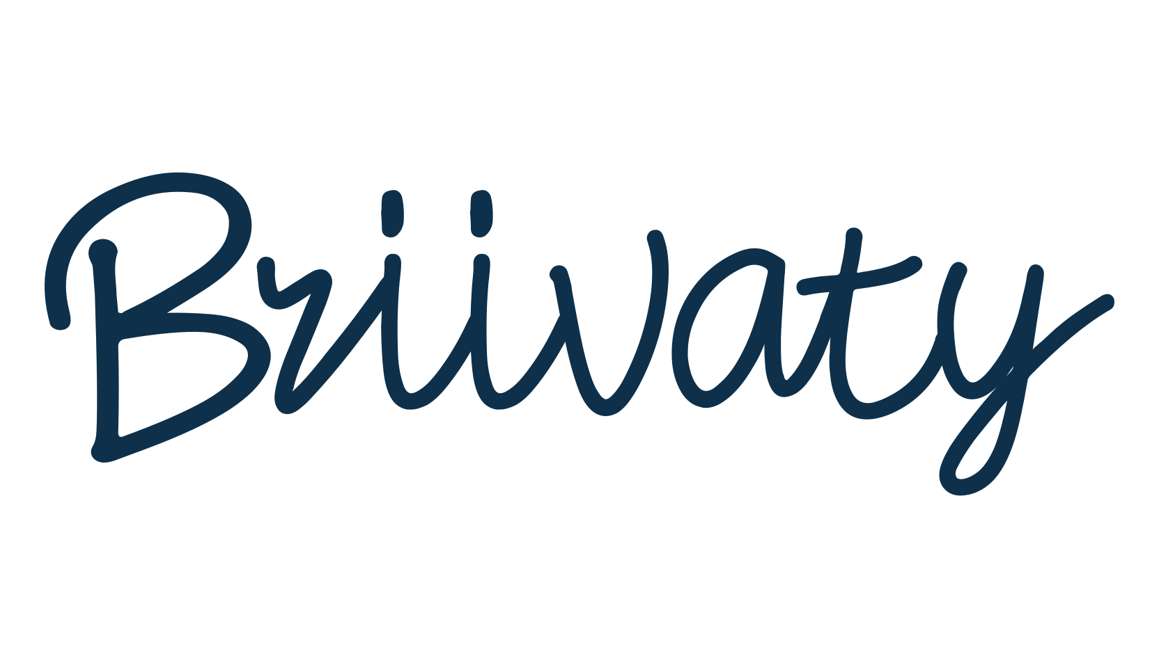 Briivaty, script handwritten fancy decorative calligraphy font preview