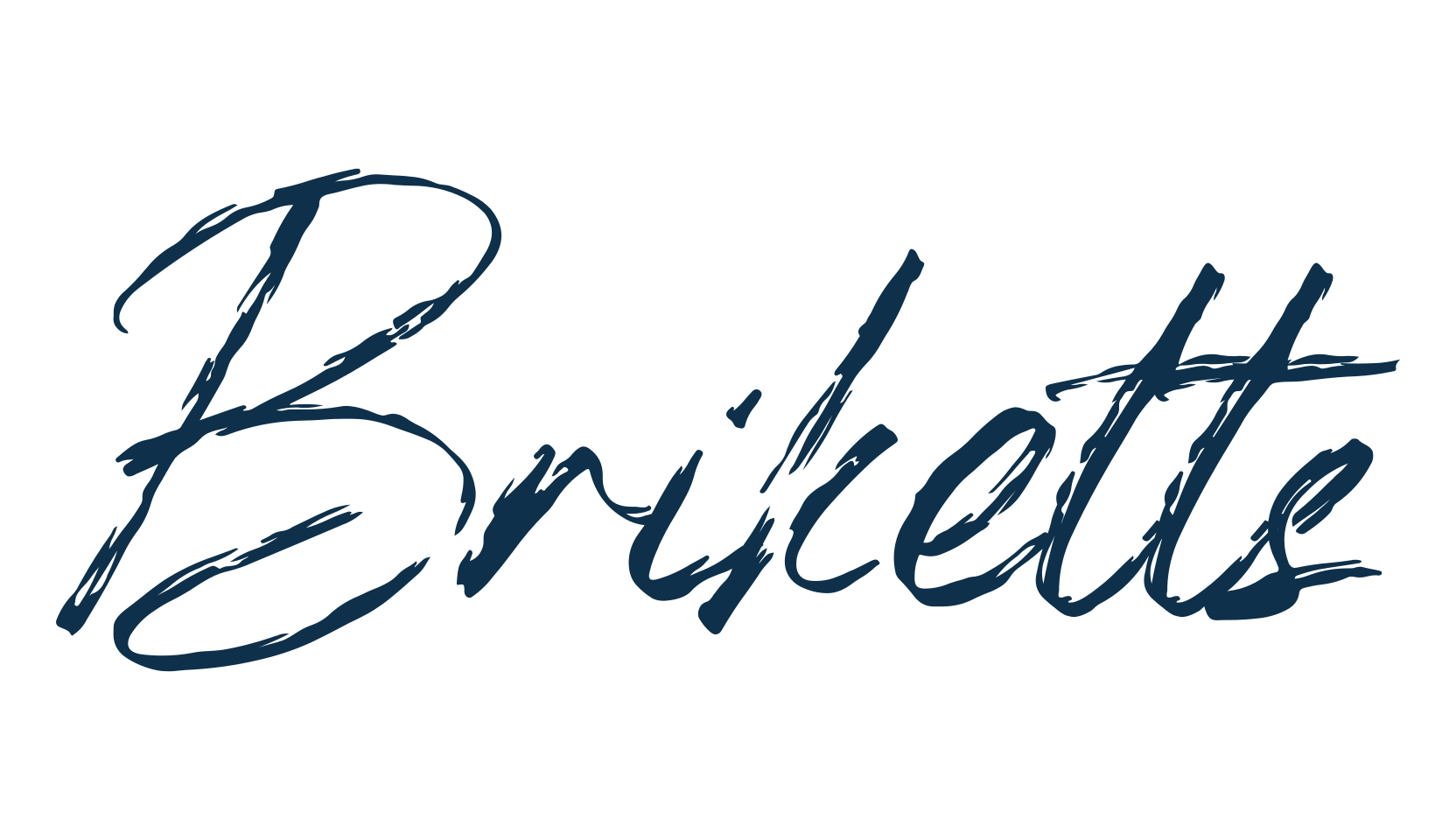 Briketts, script brush fancy decorative calligraphy font preview