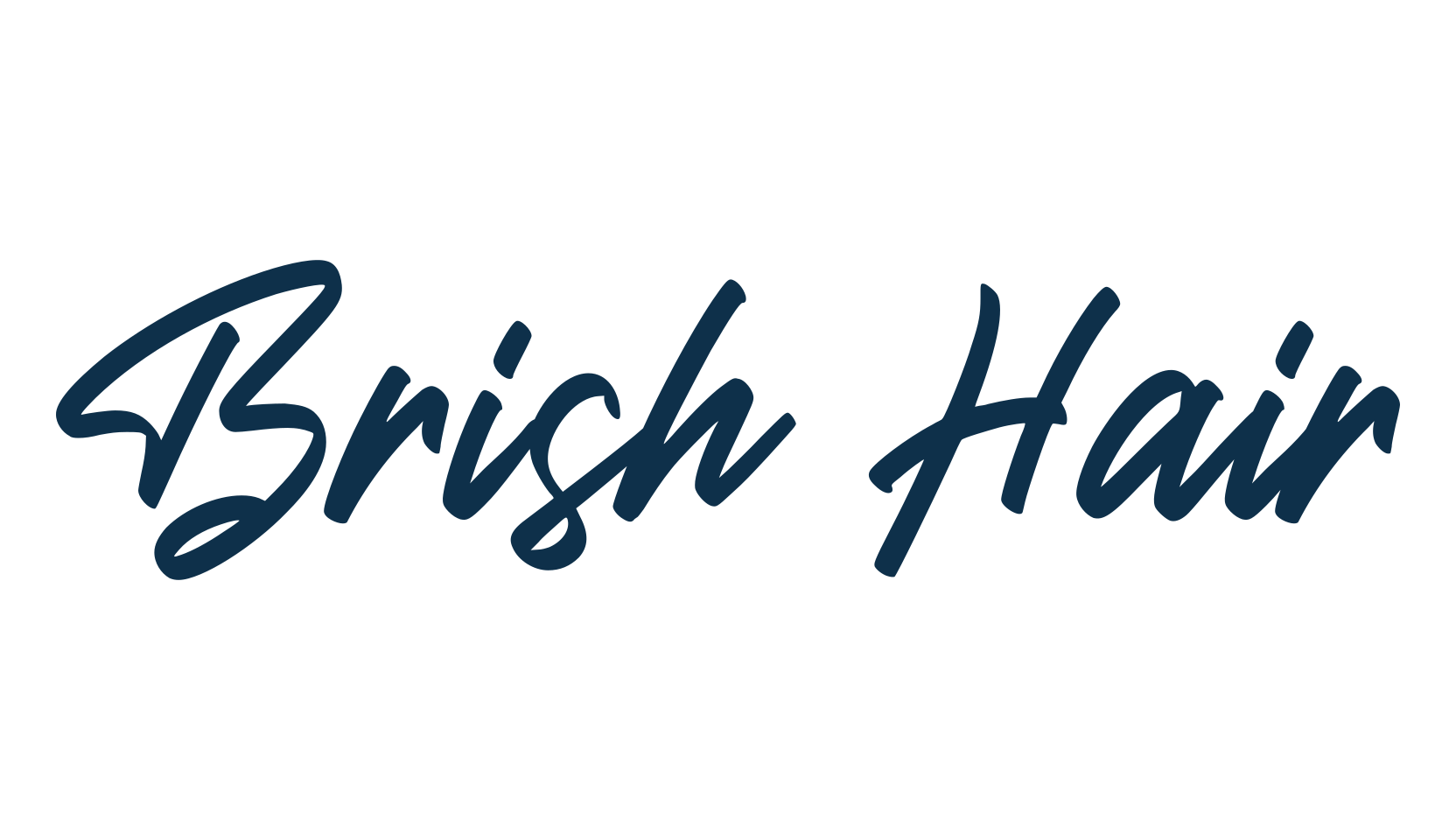 Brish Hair, script brush fancy decorative calligraphy font preview