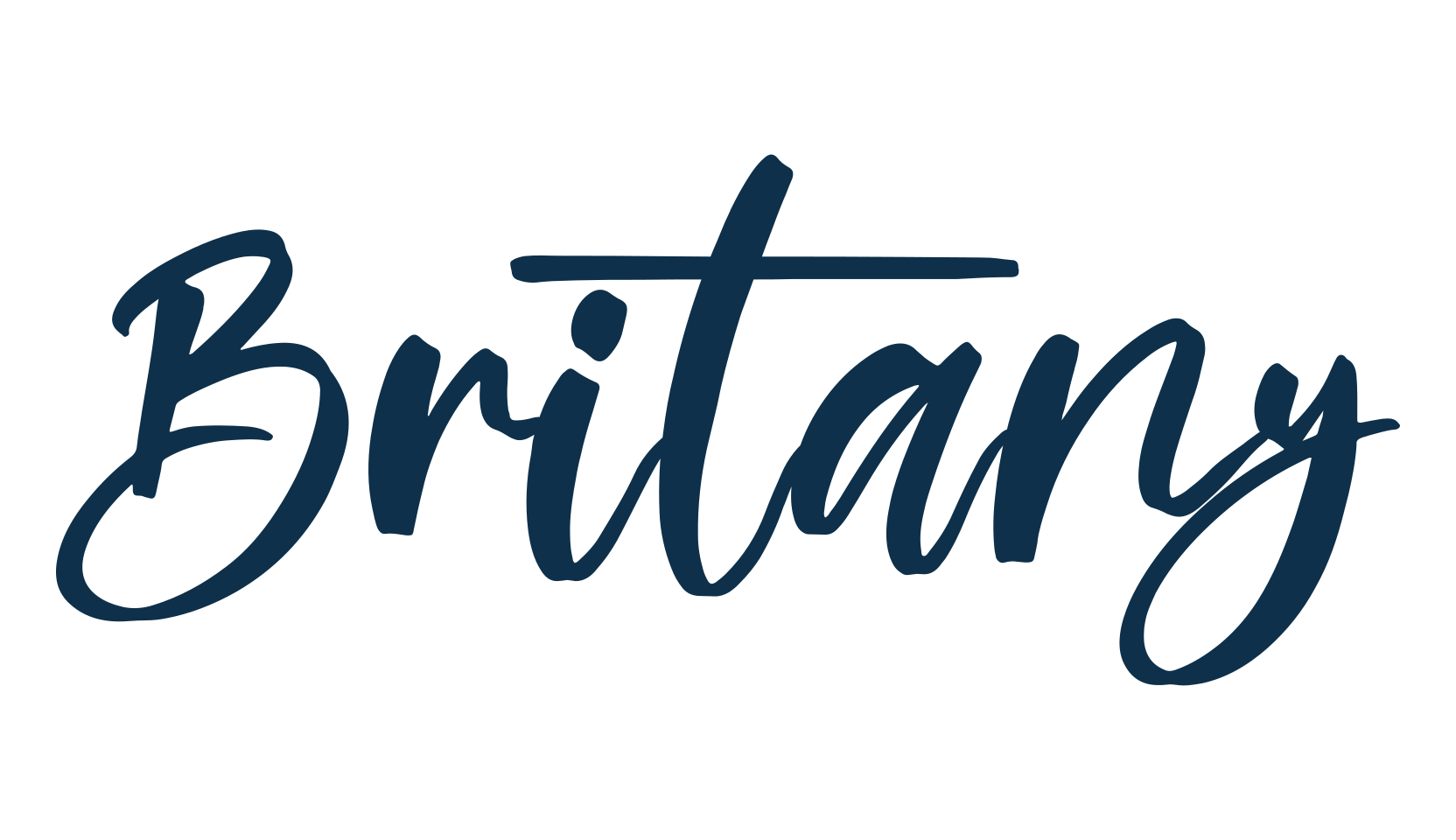Britany, script handwritten fancy decorative calligraphy font preview