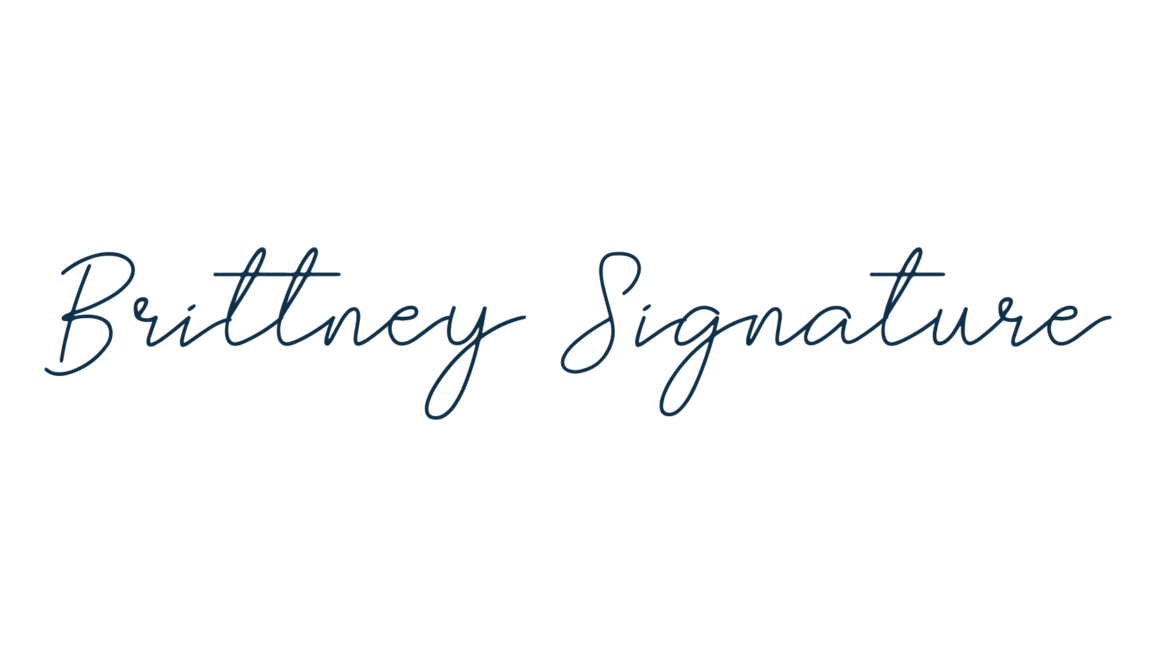 Brittney Signature, script handwritten fancy decorative calligraphy font preview