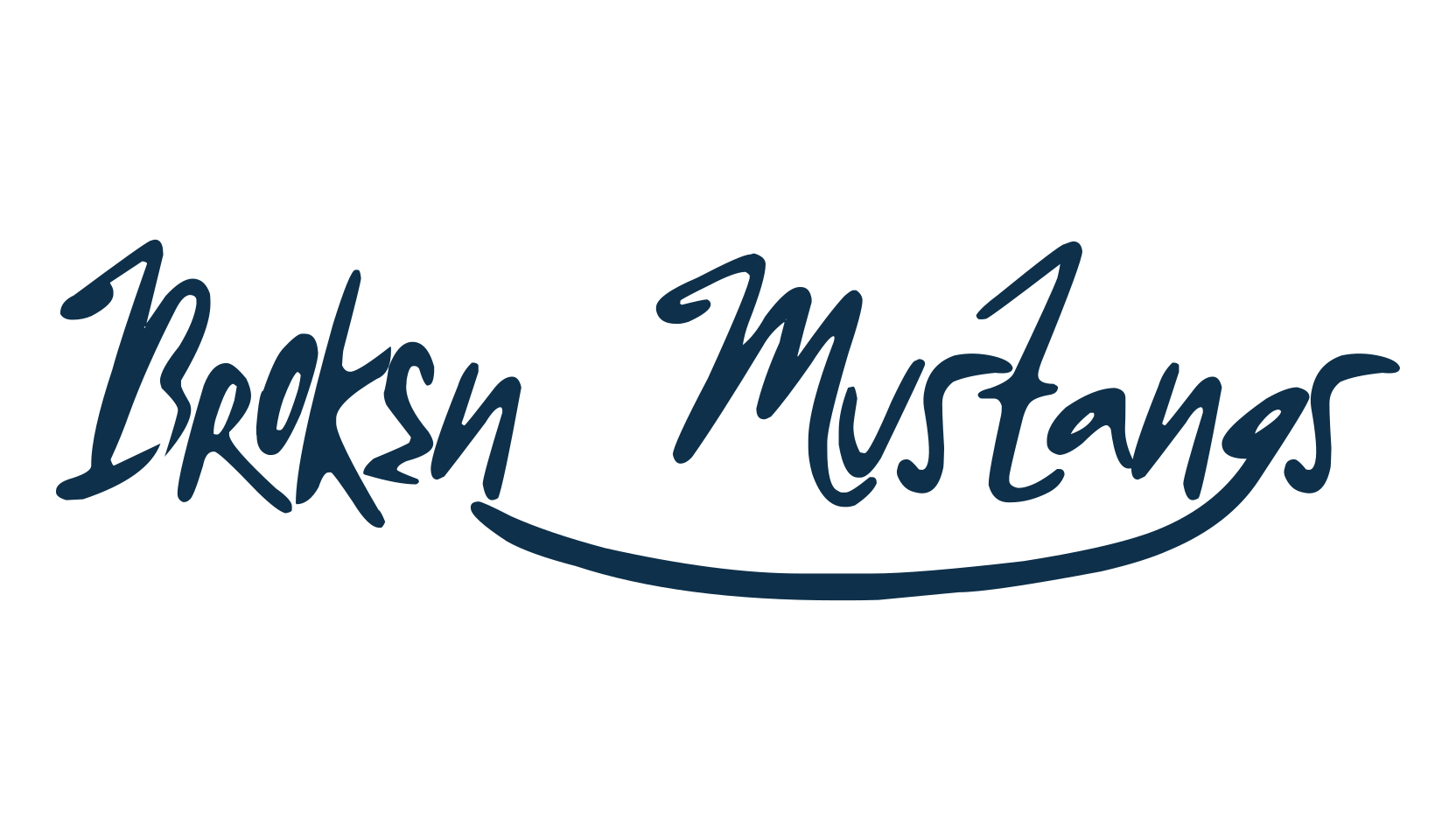 Broken Mustangs, script handwritten fancy decorative calligraphy font preview