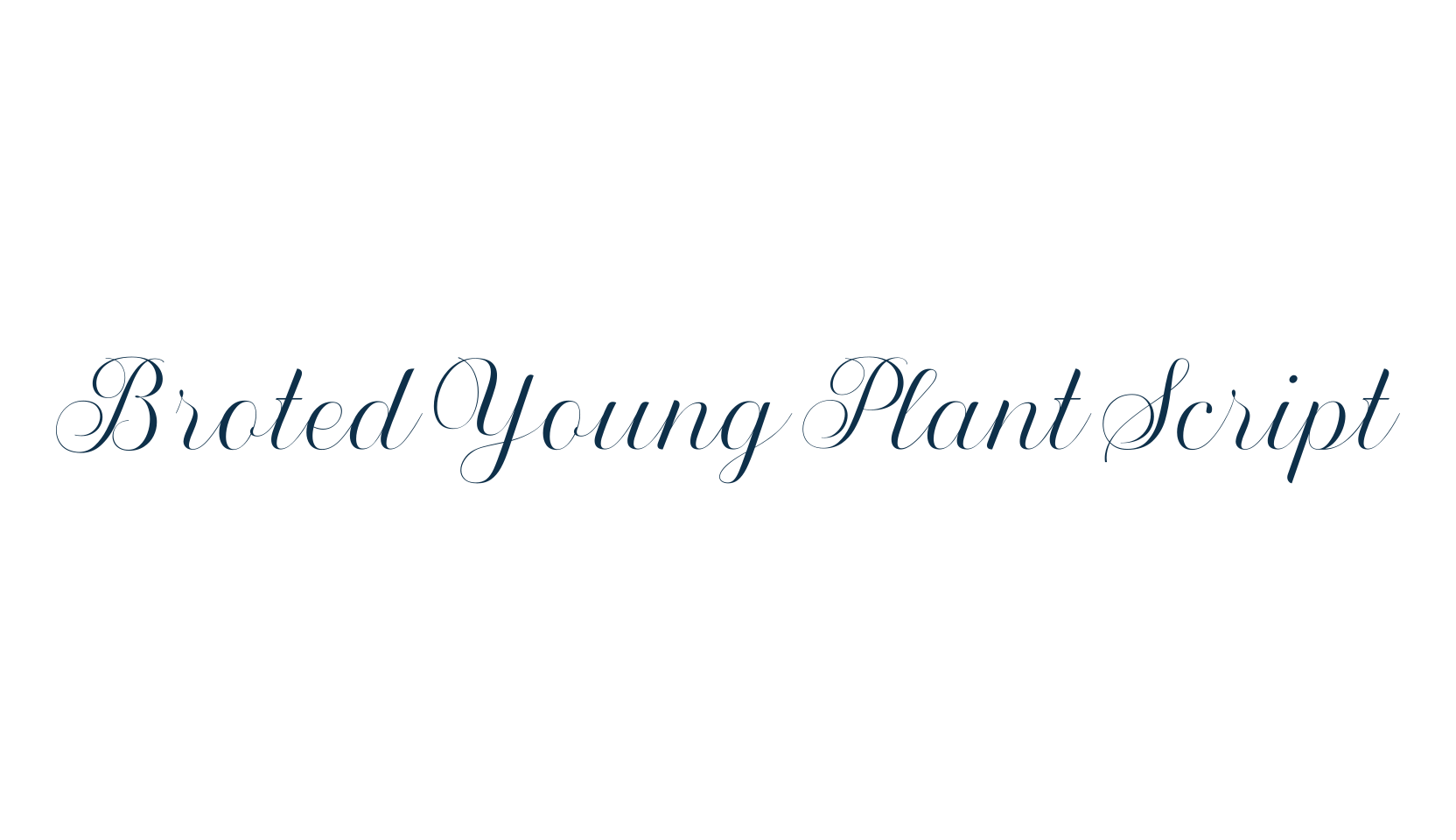 Broted Young Plant Script, script calligraphy fancy decorative font preview