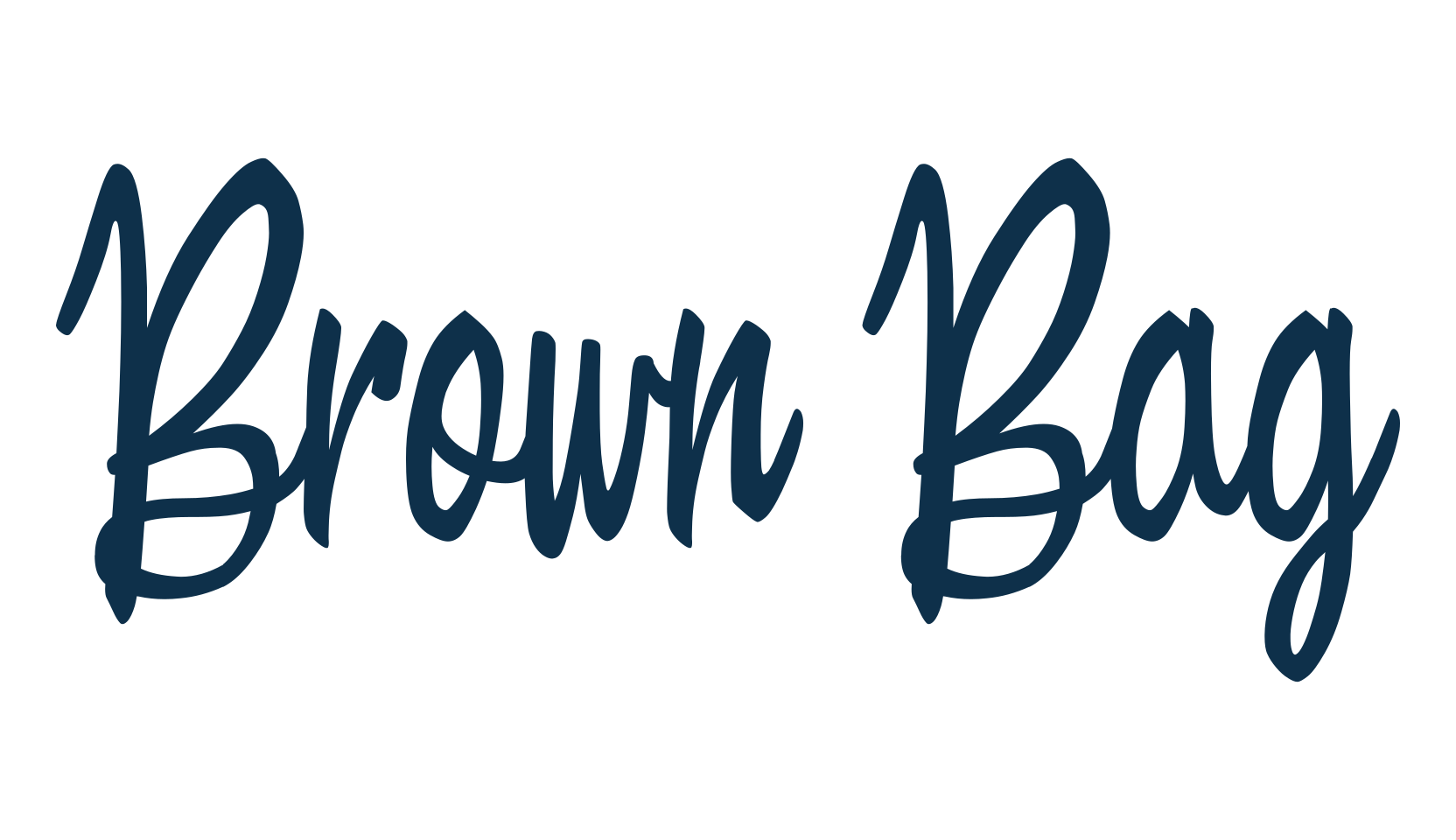 Brown Bag, script handwritten fancy decorative calligraphy font preview