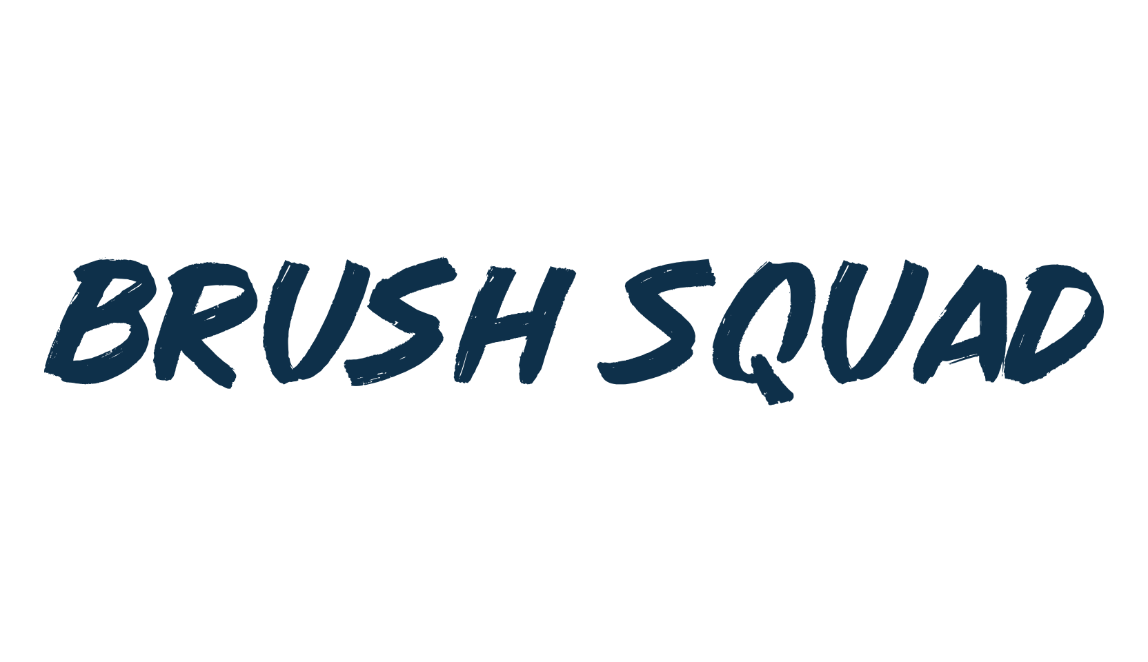 Brush Squad, script brush fancy decorative calligraphy font preview