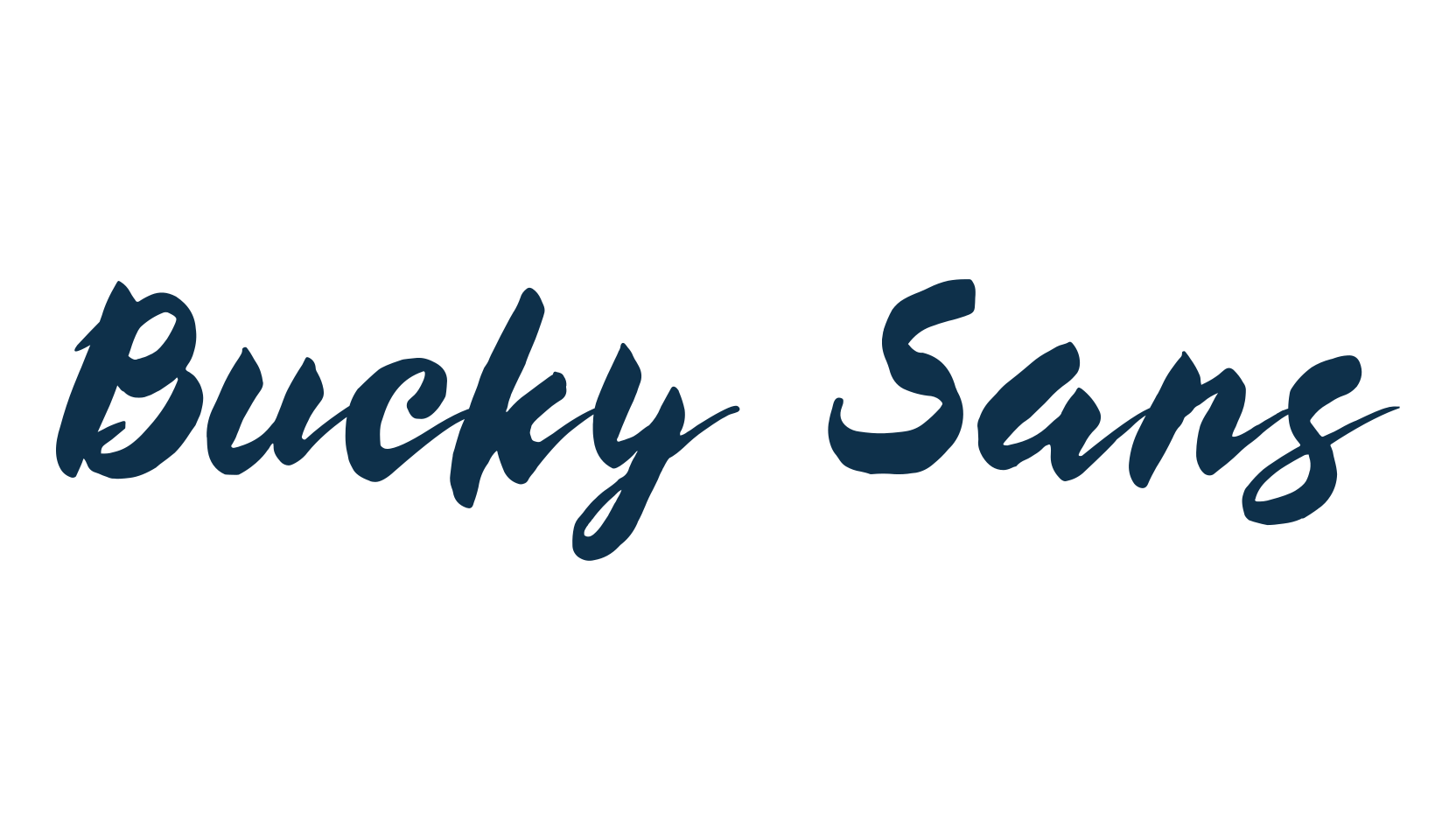 Bucky Sans, script brush fancy decorative calligraphy font preview