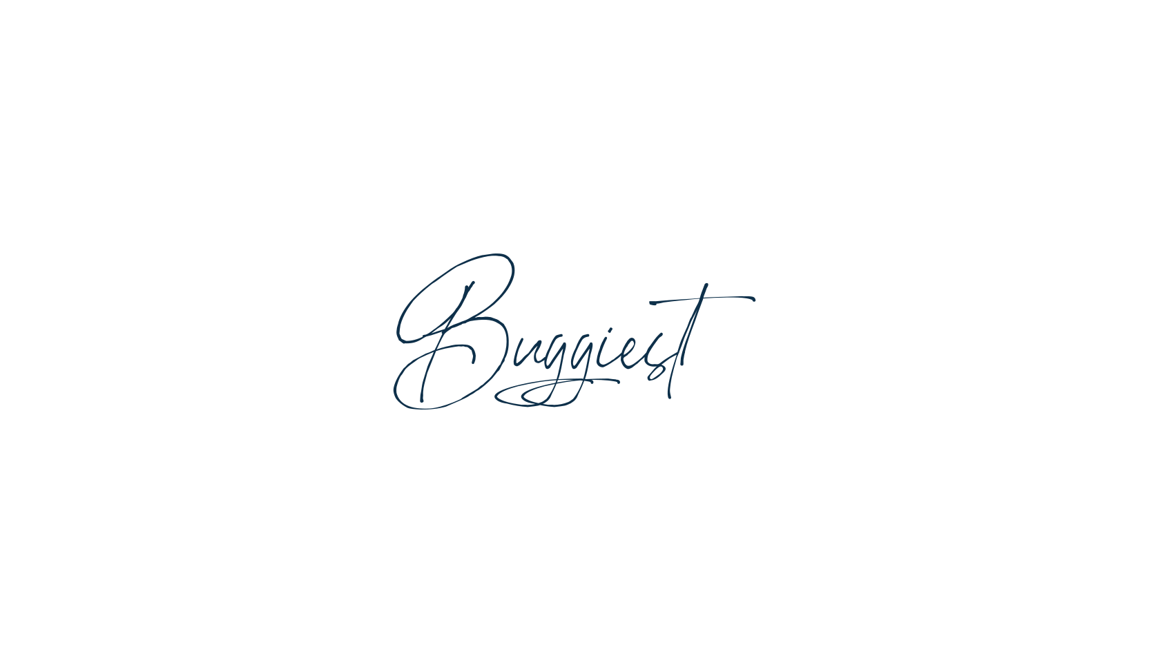 Buggiest, script handwritten fancy decorative calligraphy font preview