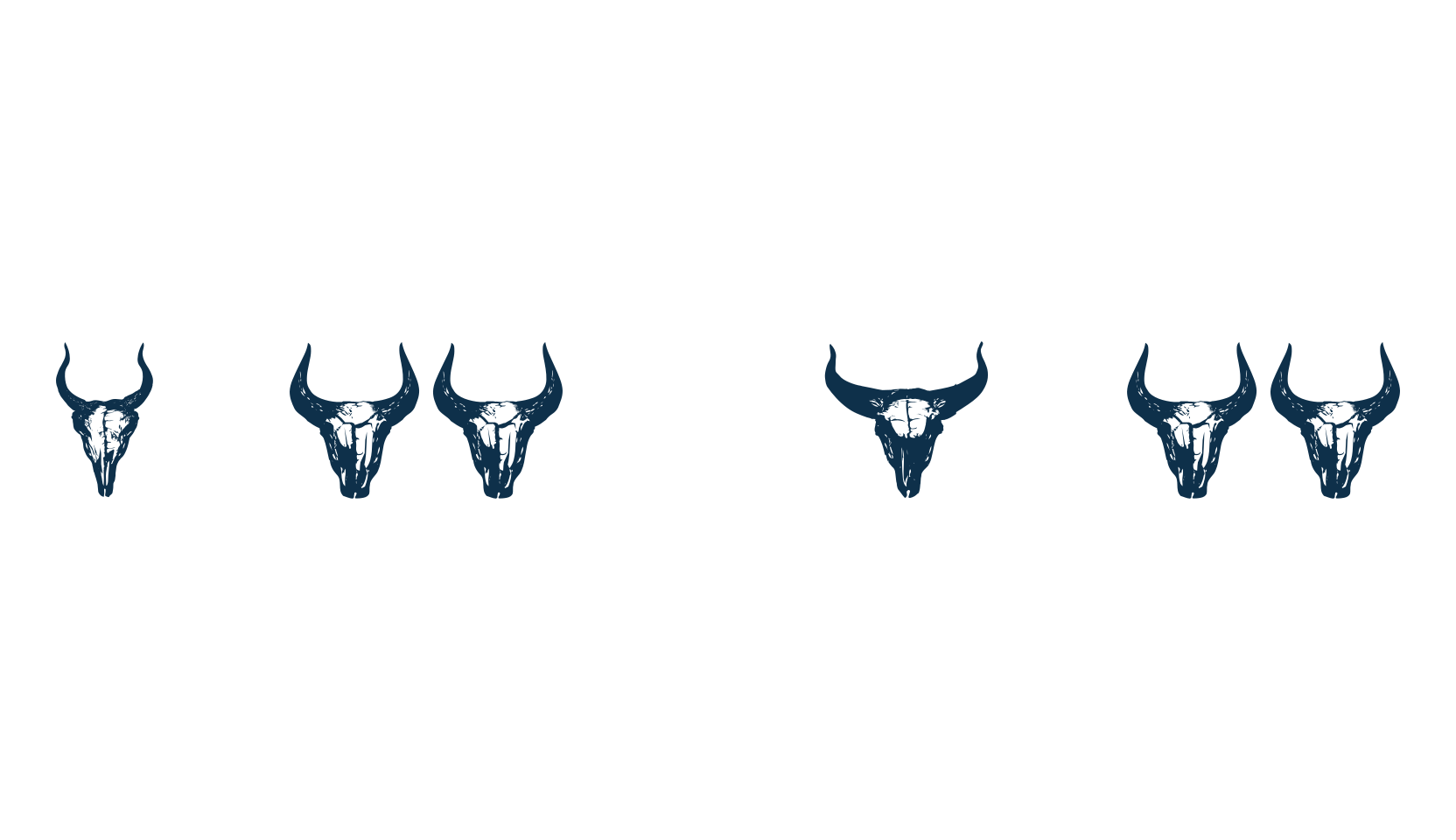 Bull Skulls, fancy decorative font preview