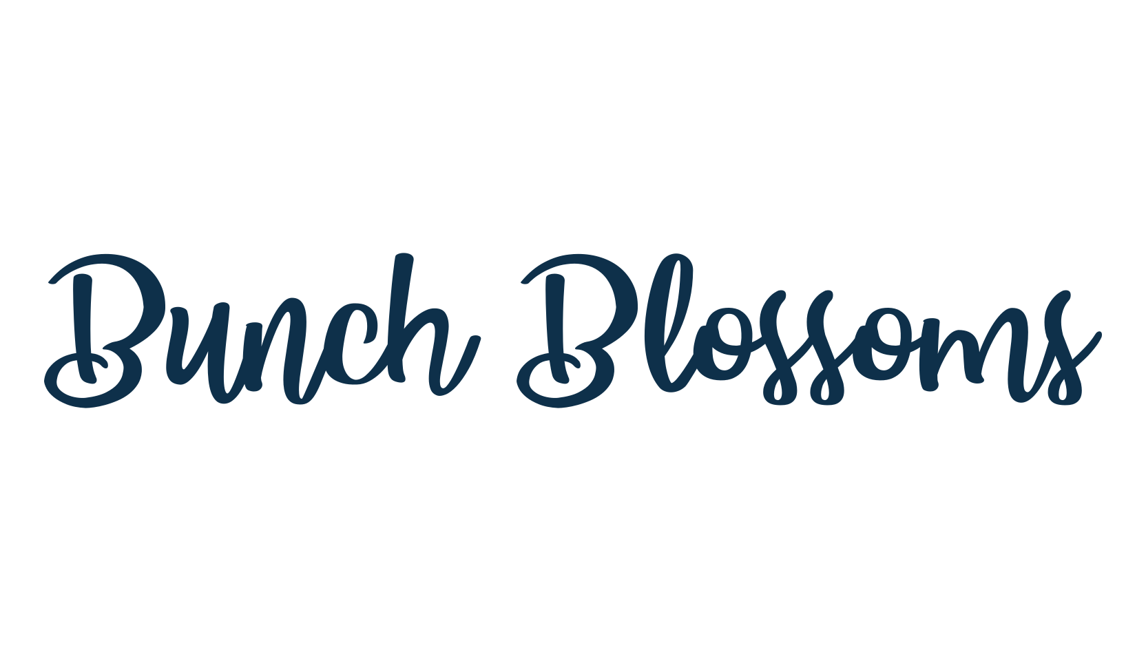 Bunch Blossoms, script brush fancy decorative calligraphy font preview