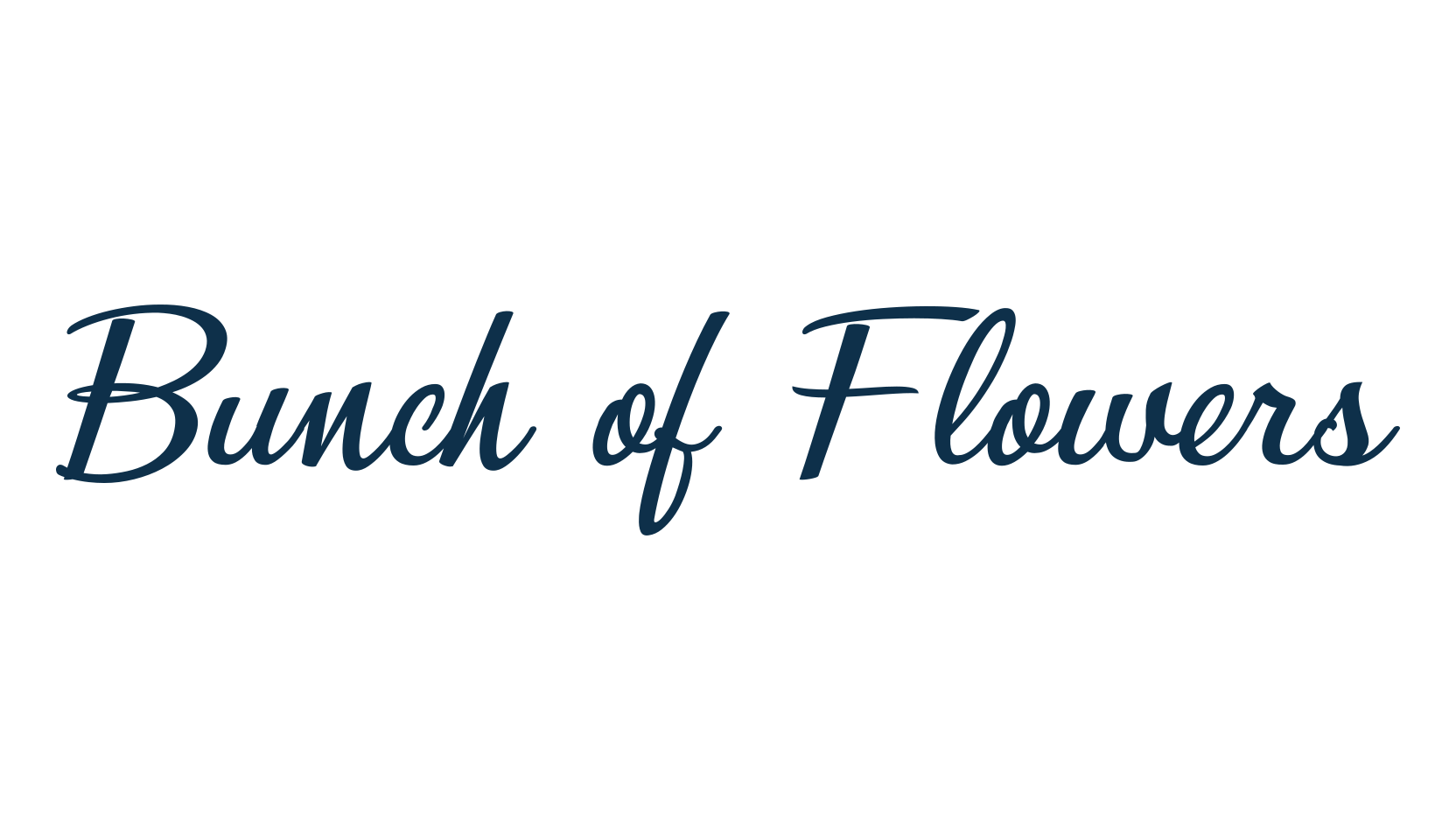 Bunch of Flowers, script brush fancy decorative calligraphy font preview
