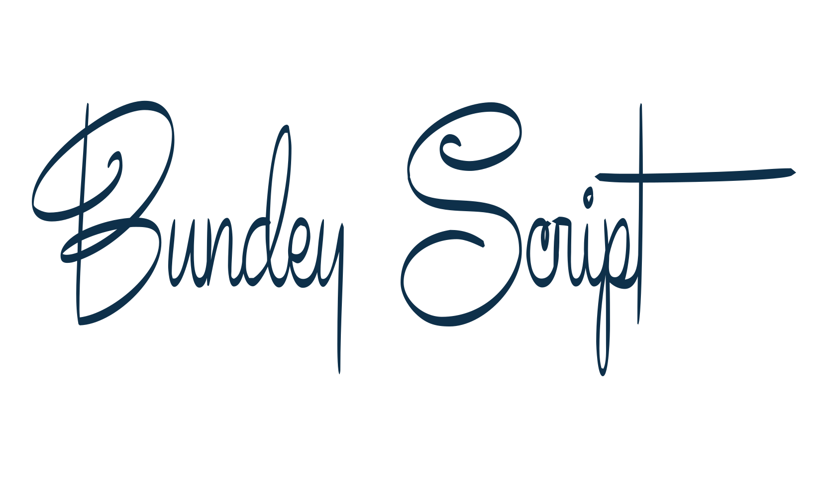 Bundey Script, script handwritten fancy decorative calligraphy font preview
