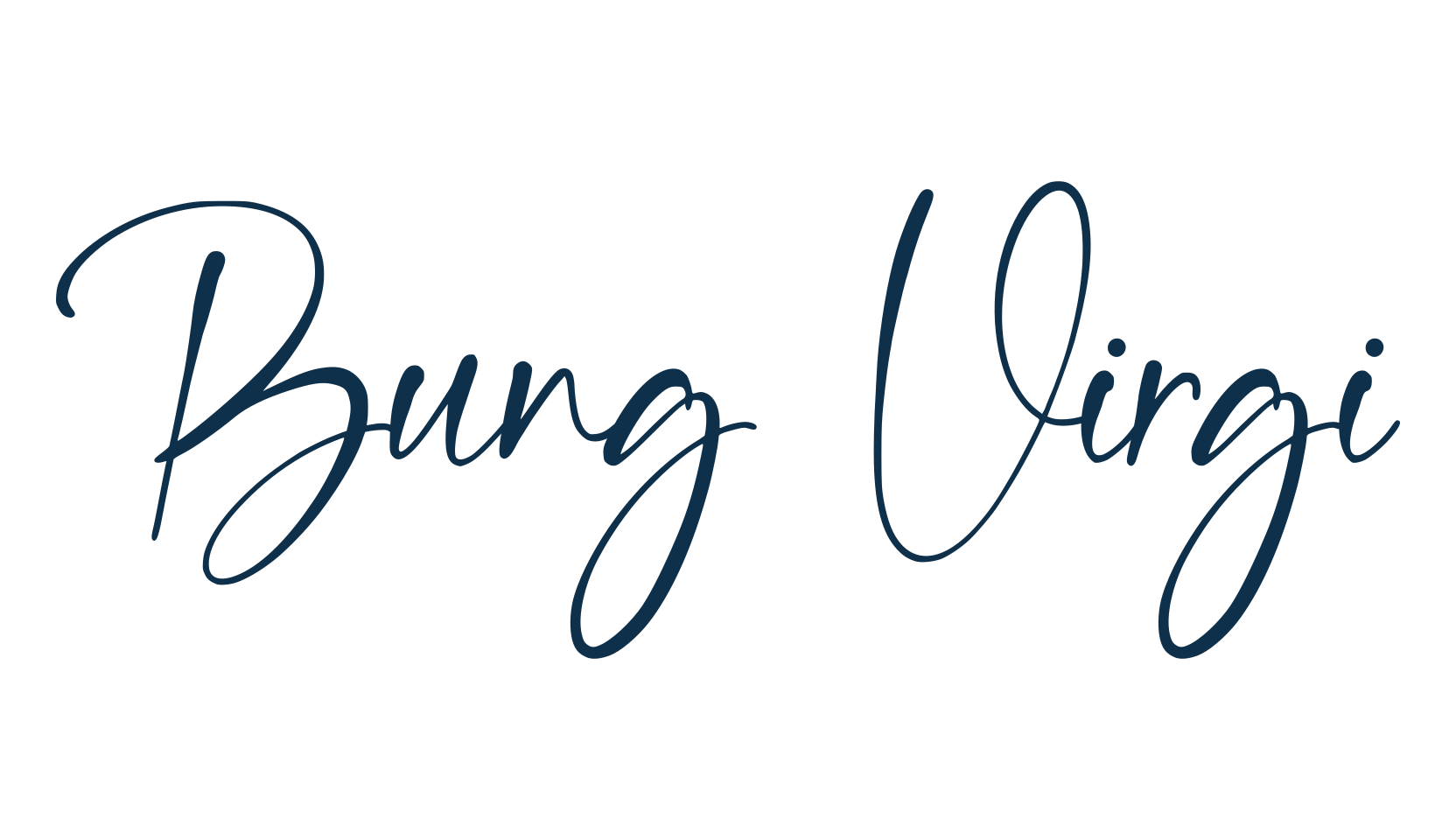 Bung Virgi, script handwritten fancy decorative calligraphy font preview