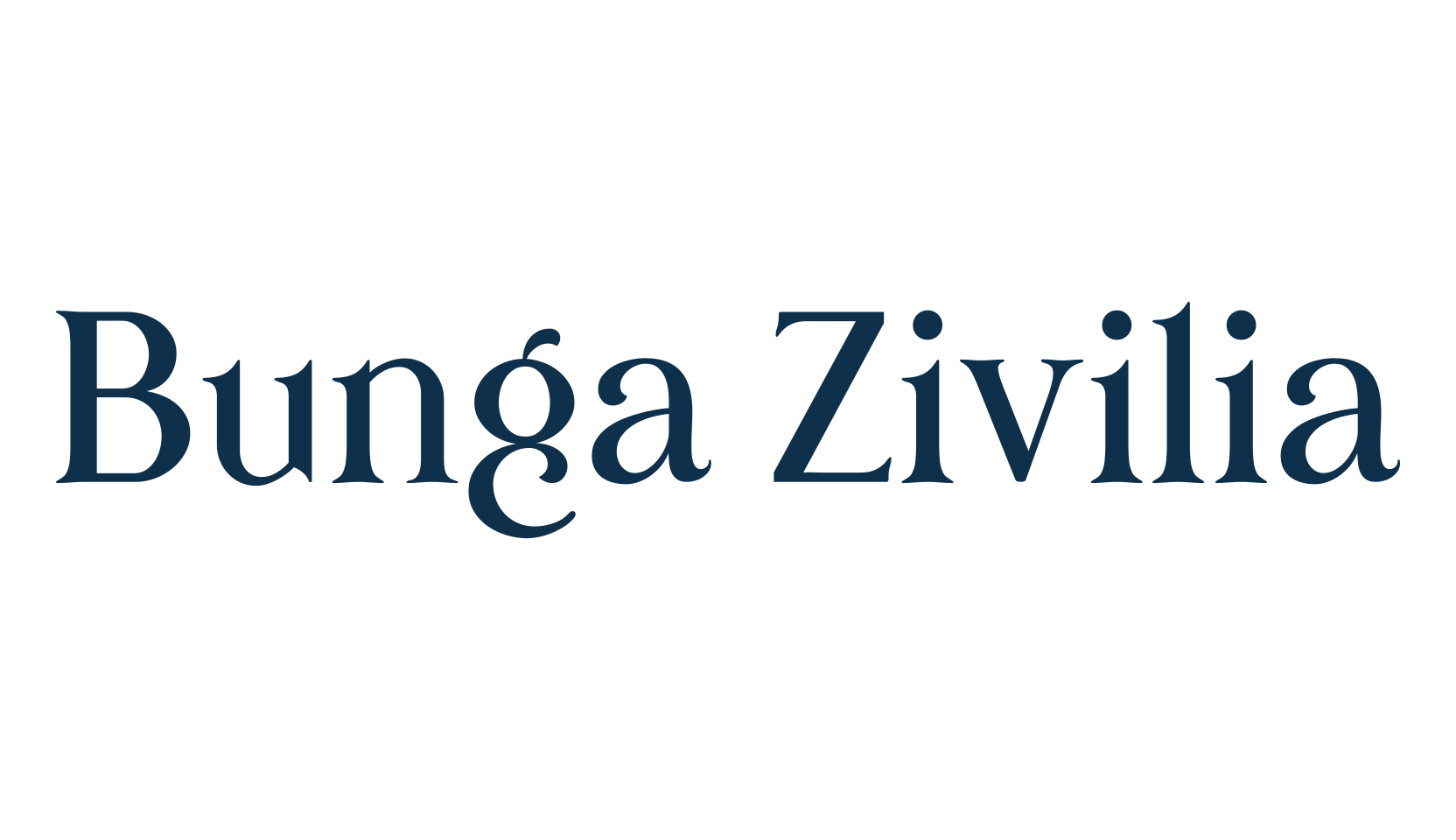 Bunga Zivilia, basic serif font preview