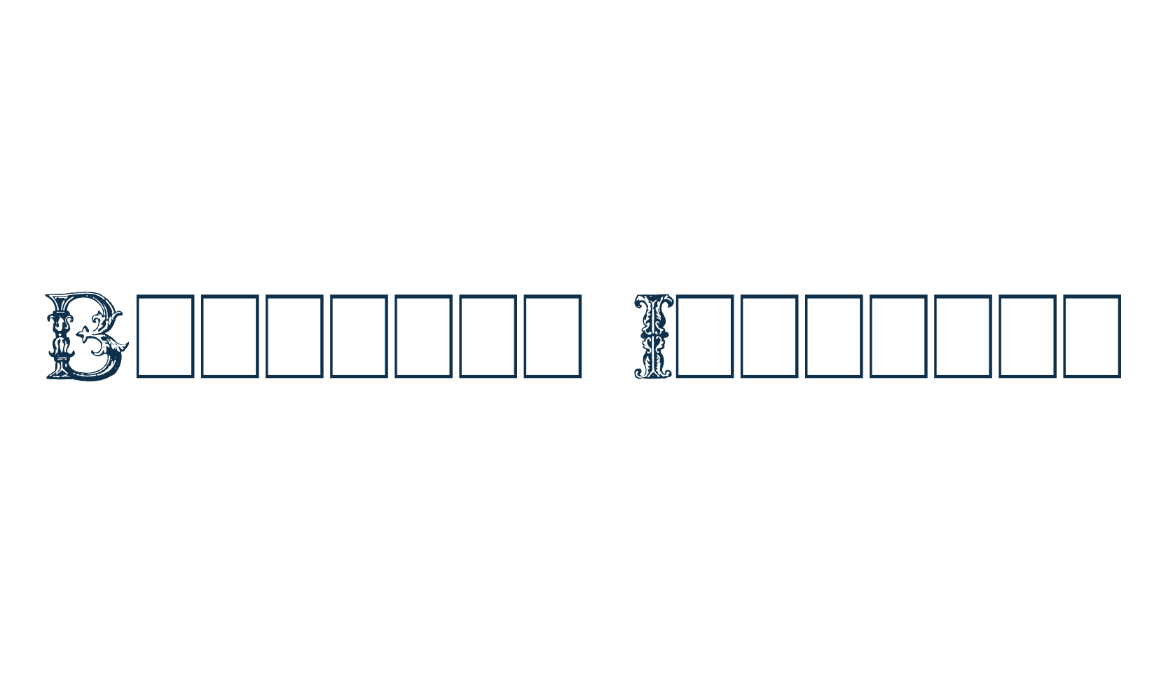 Burgoyne Initials, fancy decorative font preview