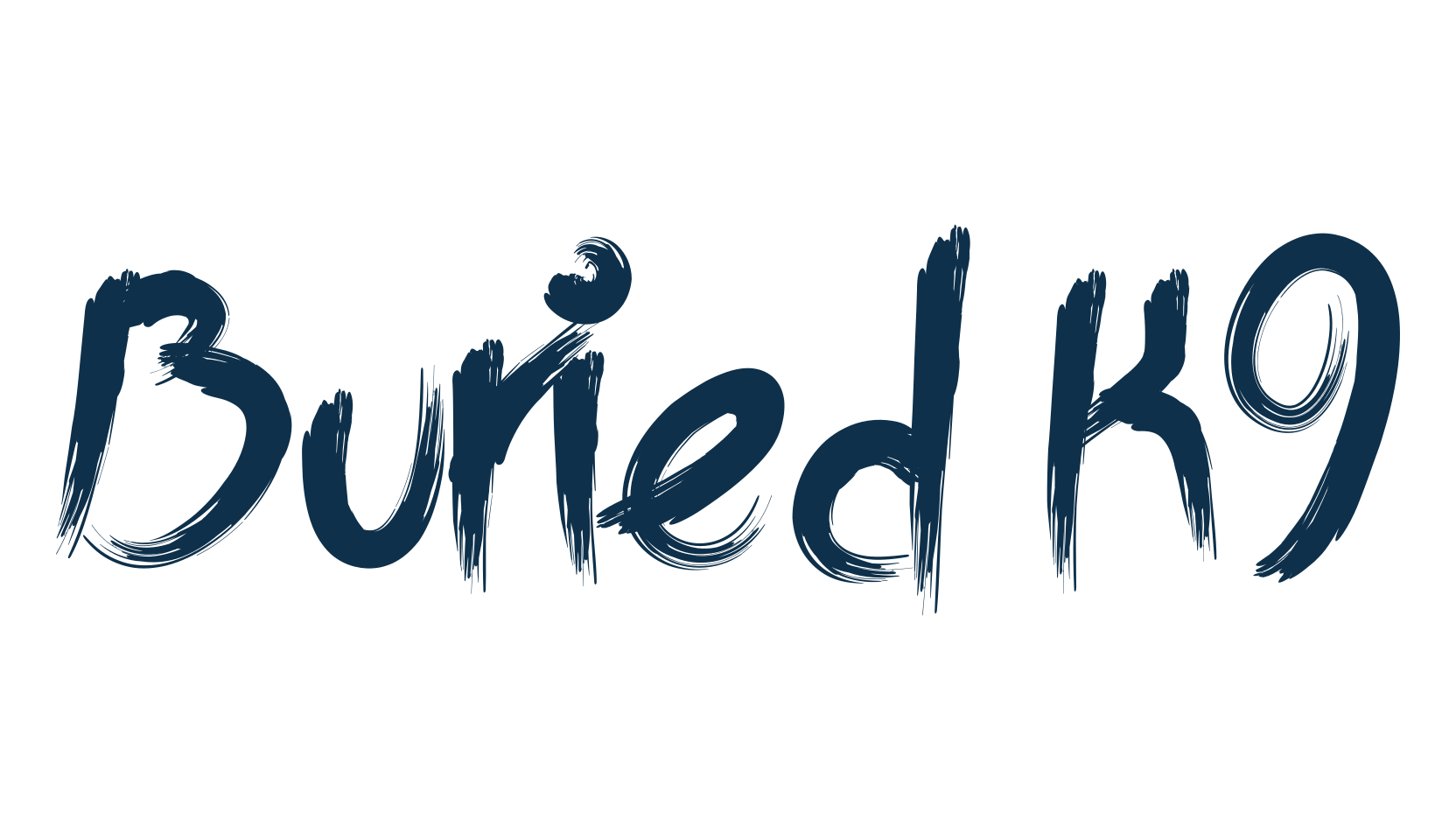 Buried K9, script brush fancy decorative calligraphy font preview