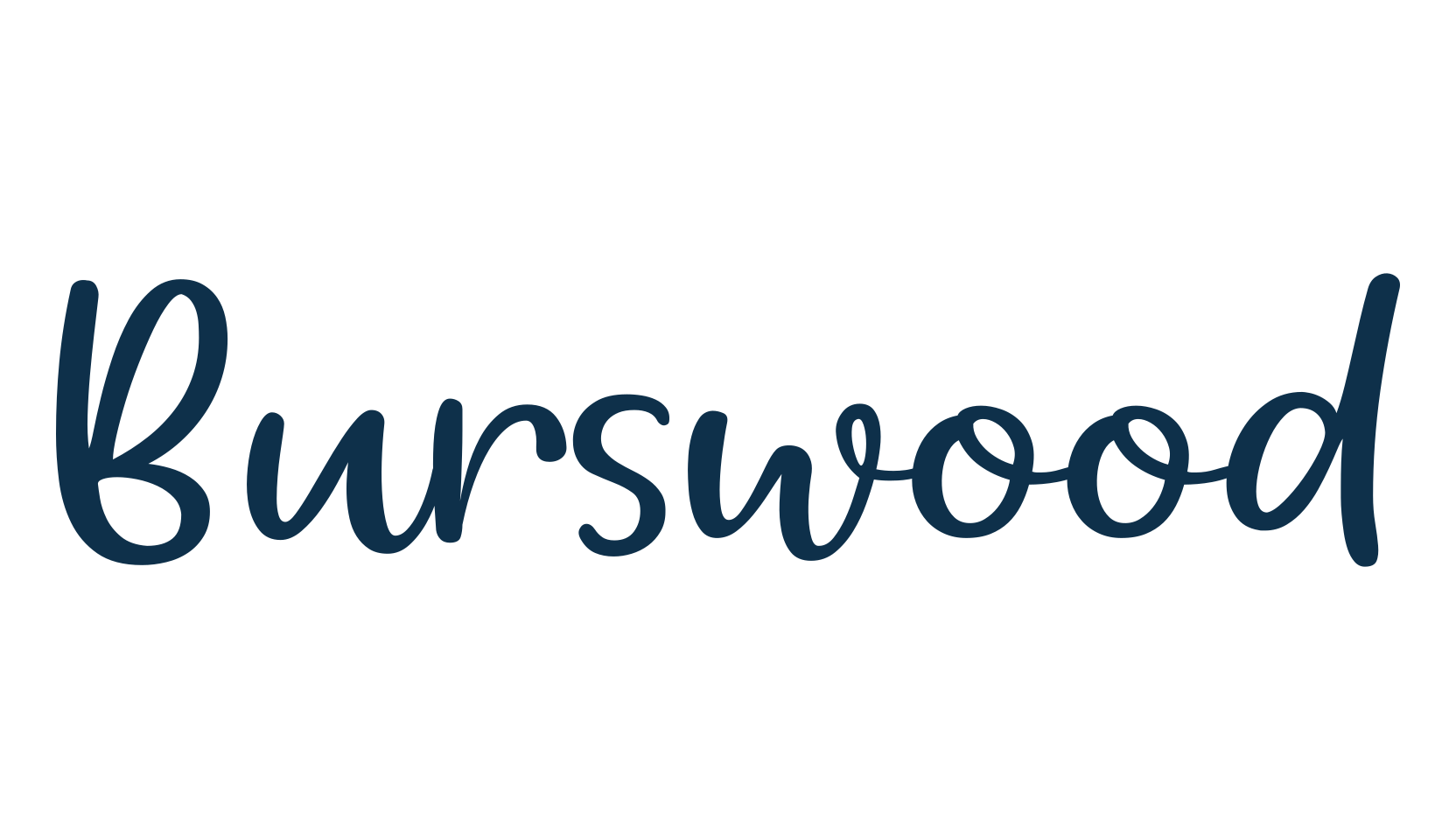 Burswood, script handwritten fancy decorative calligraphy font preview