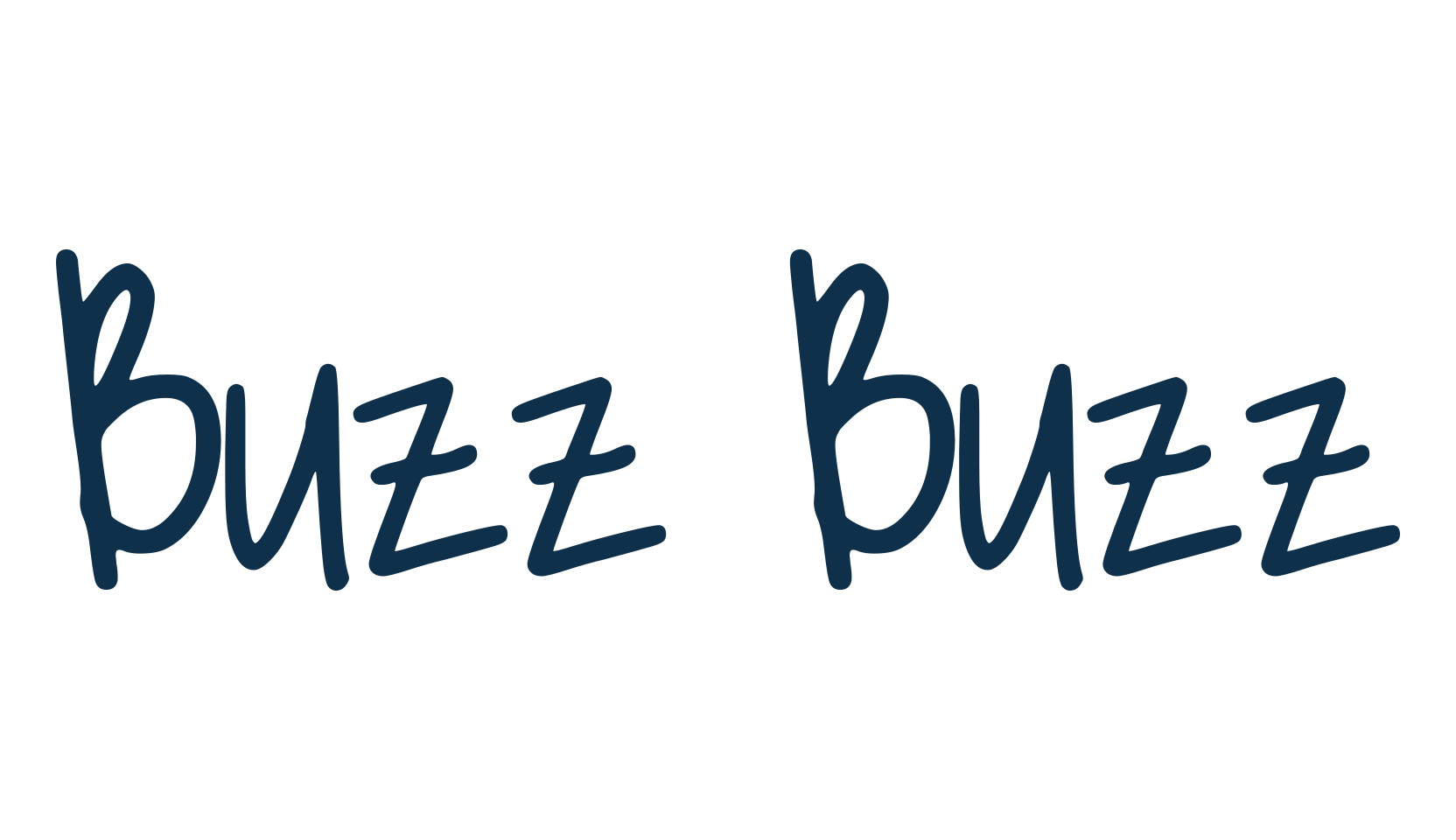 Buzz Buzz, script handwritten fancy decorative calligraphy font preview