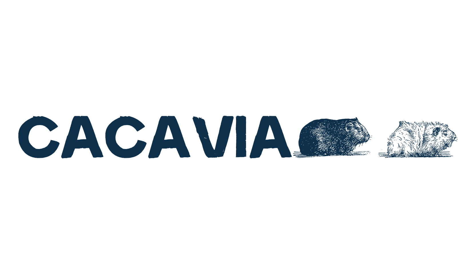 Cacavia01, fancy eroded decorative font preview