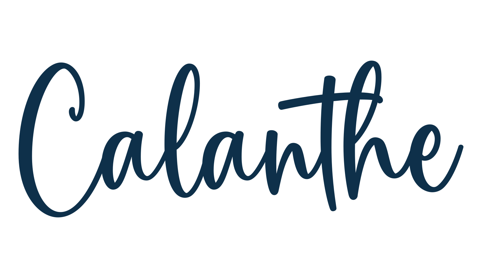 Calanthe, script handwritten fancy decorative calligraphy font preview