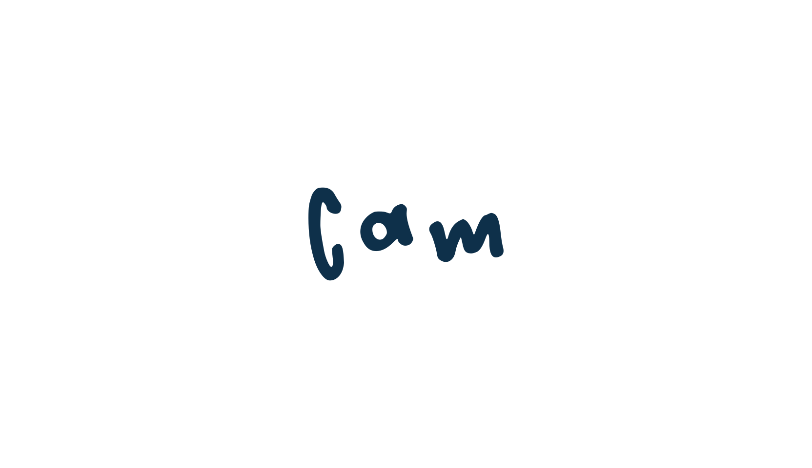 Cam, script handwritten fancy decorative calligraphy font preview
