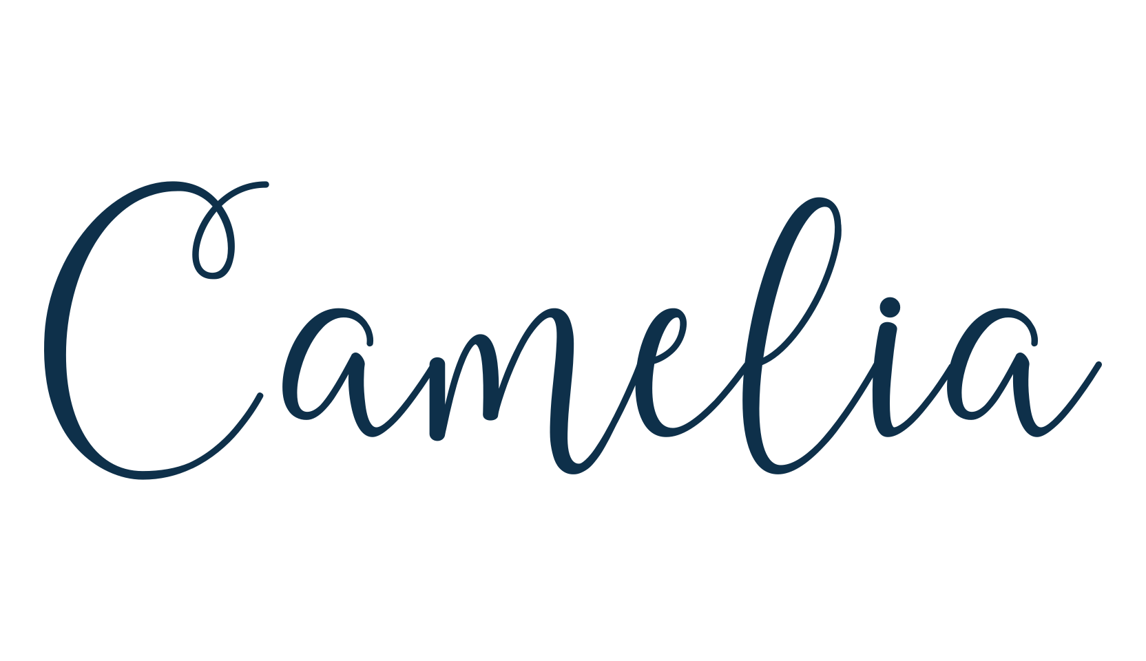 Camelia (camelia-4), script calligraphy fancy decorative font preview