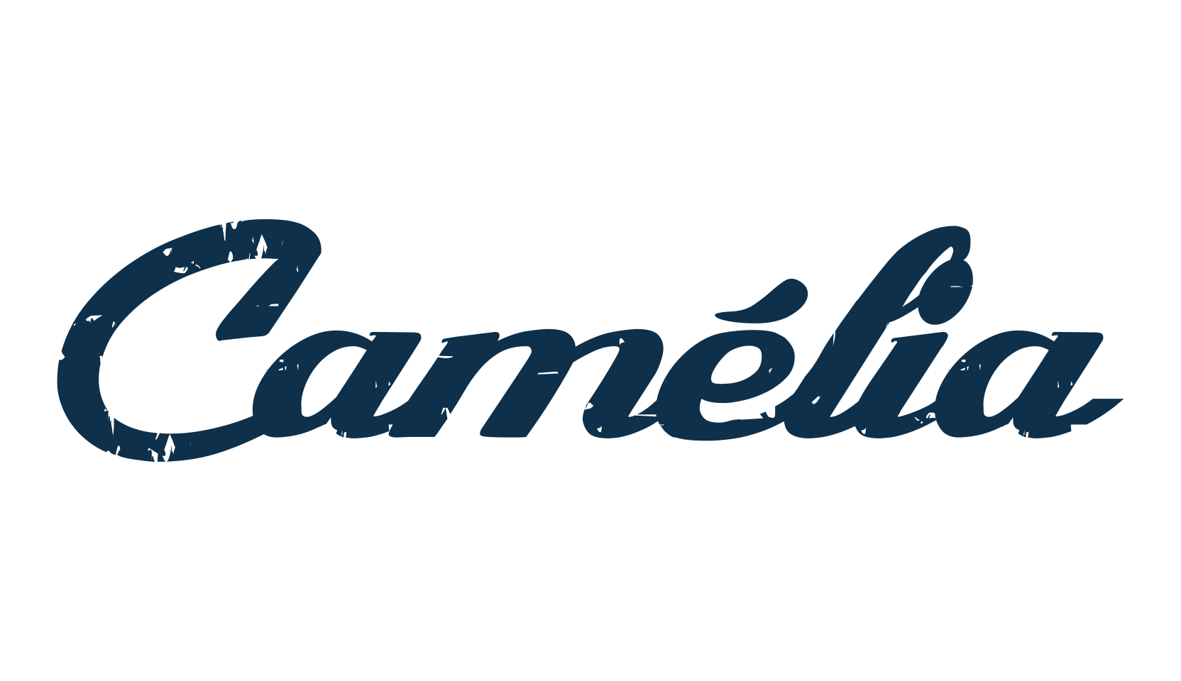 Camélia, various font preview
