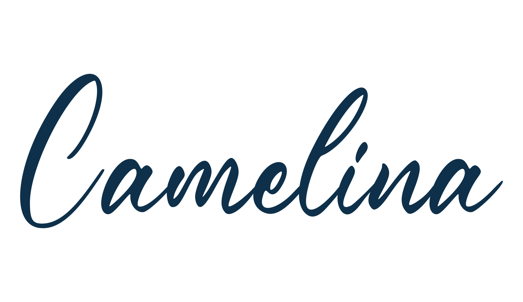 Camelina, script handwritten fancy decorative calligraphy font preview