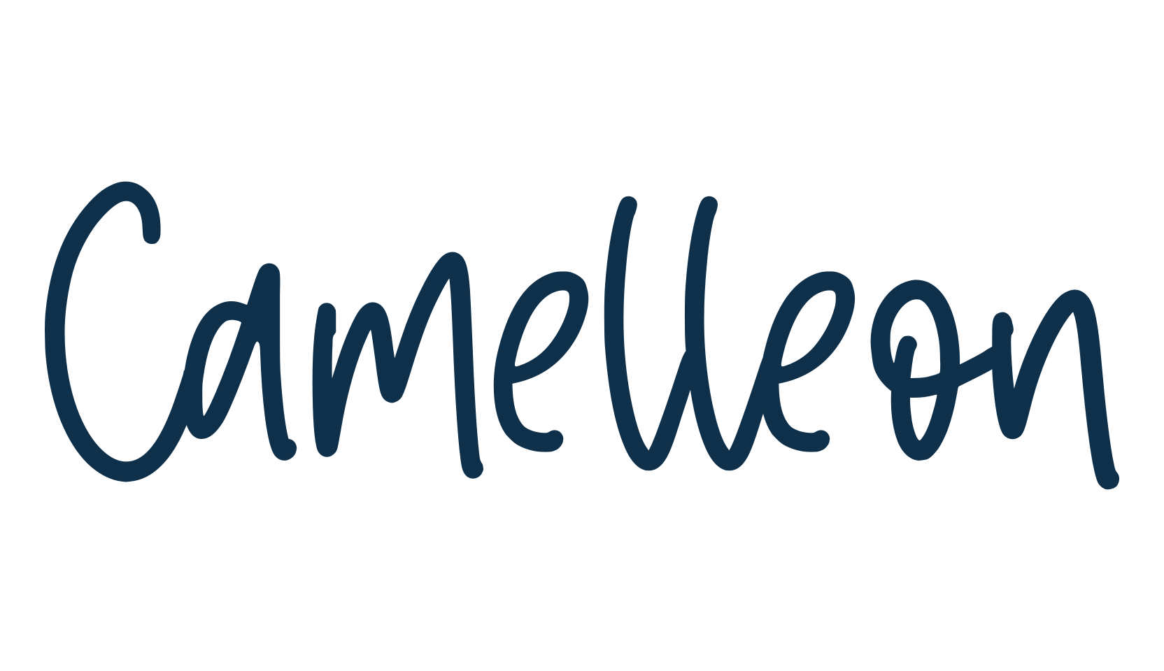 Camelleon, script handwritten fancy decorative calligraphy font preview