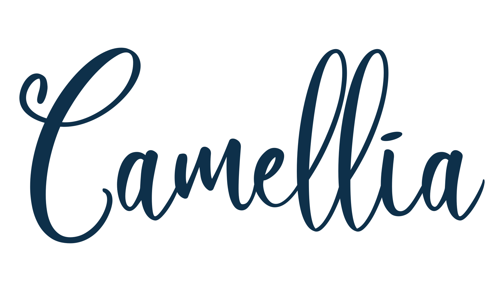 Camellia (camellia-2), script calligraphy fancy decorative font preview