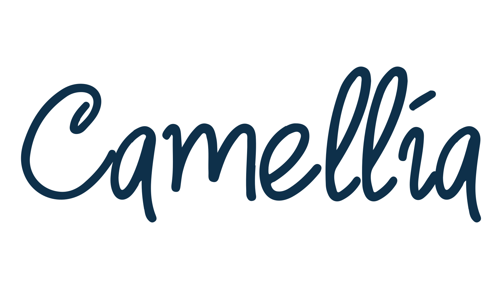 Camellia (camellia-3), handwriting font preview