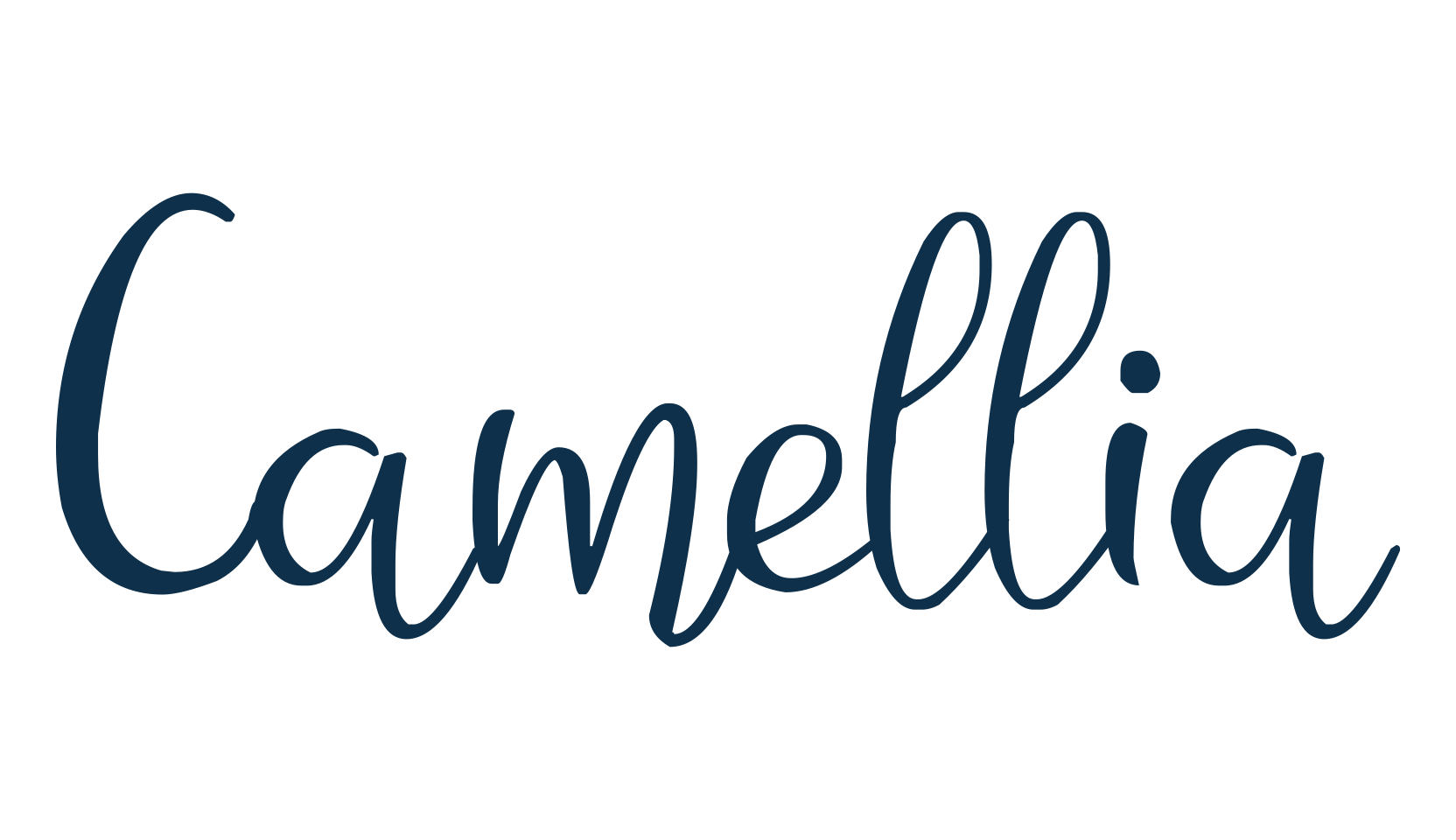 Camellia, script handwritten fancy decorative calligraphy font preview