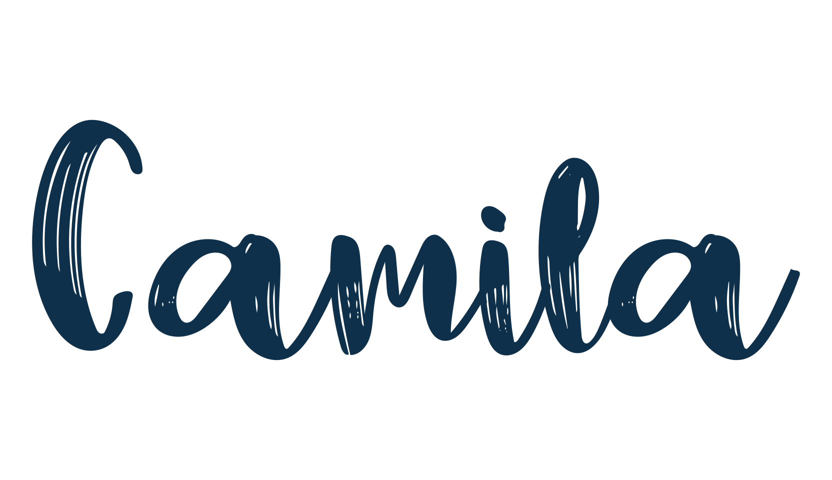 Camila (camila), script brush fancy decorative calligraphy font preview