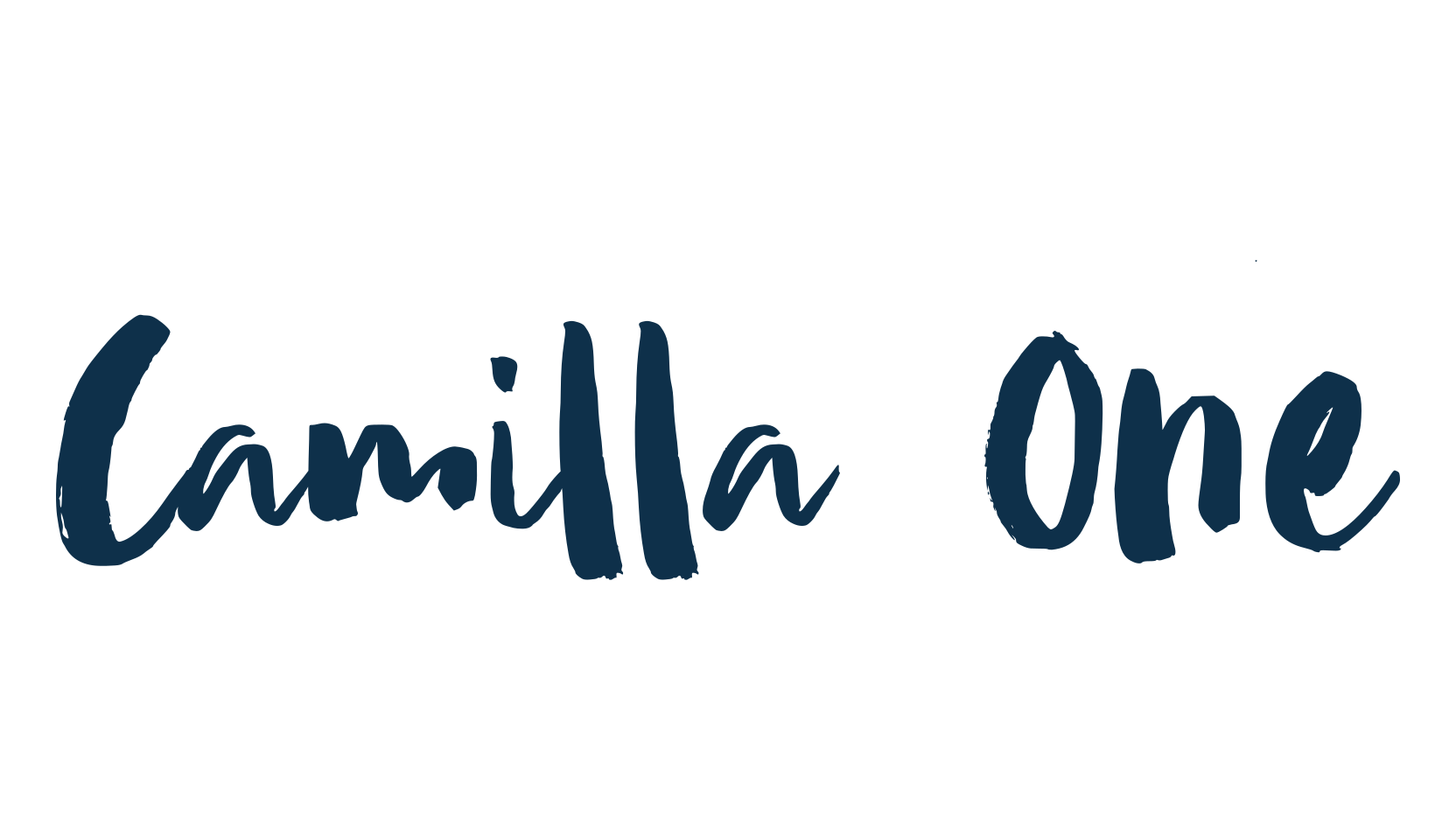Camilla One, script brush fancy decorative calligraphy font preview