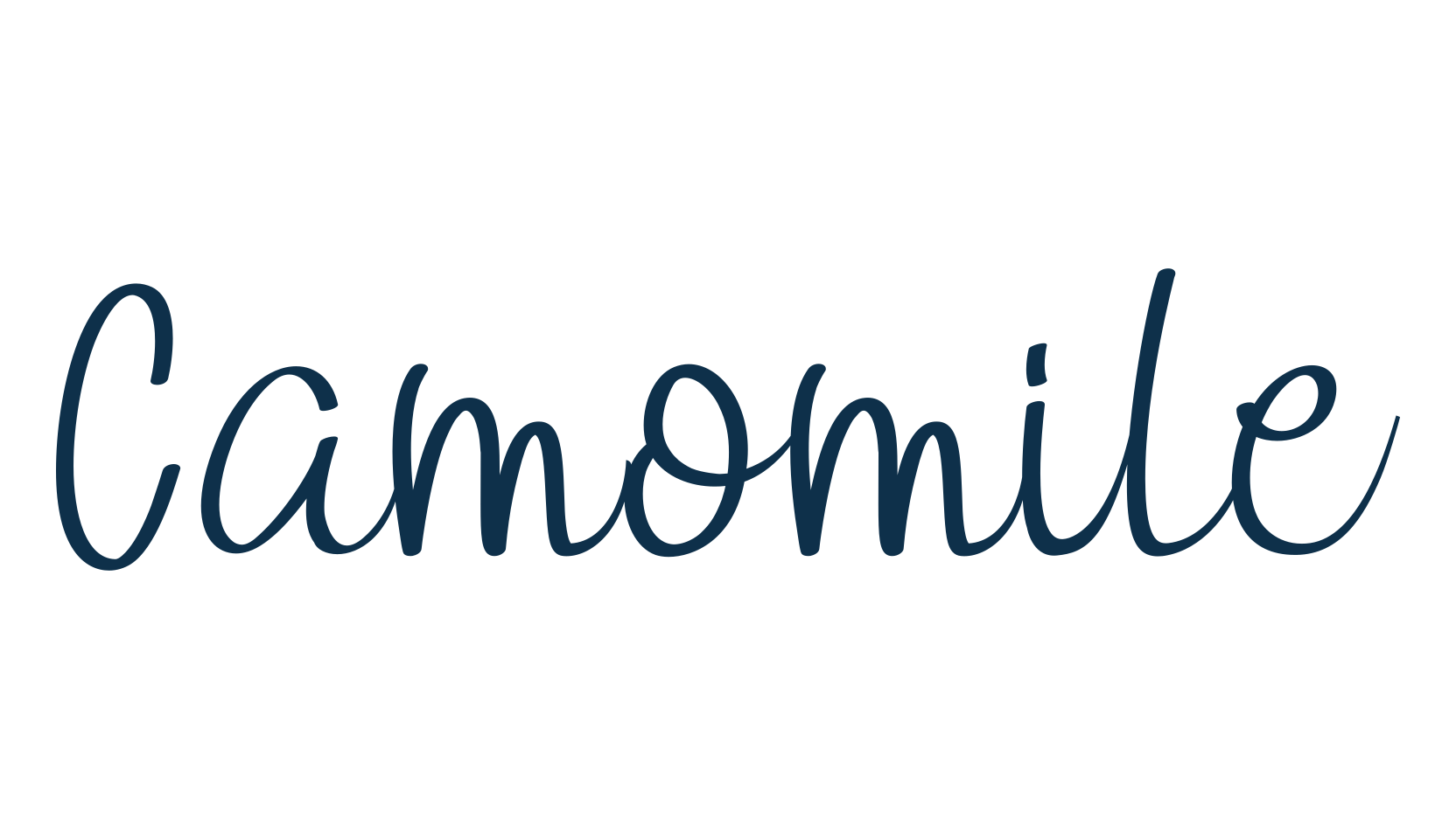 Camomile (camomile-2), handwriting font preview