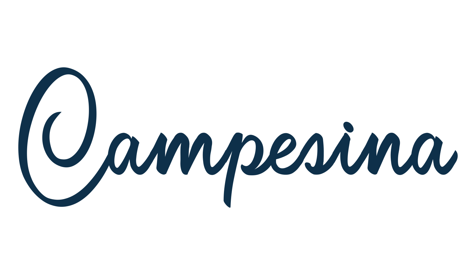 Campesina, fancy various decorative script calligraphy font preview