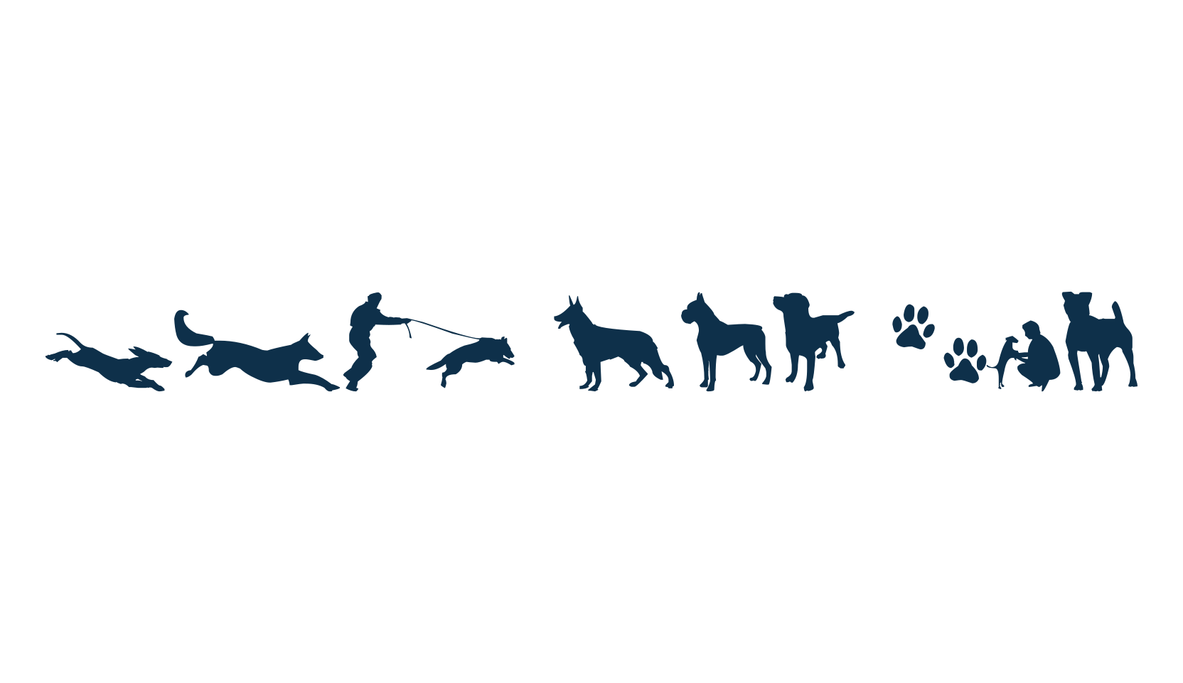 Can Dog TFB, display market font preview