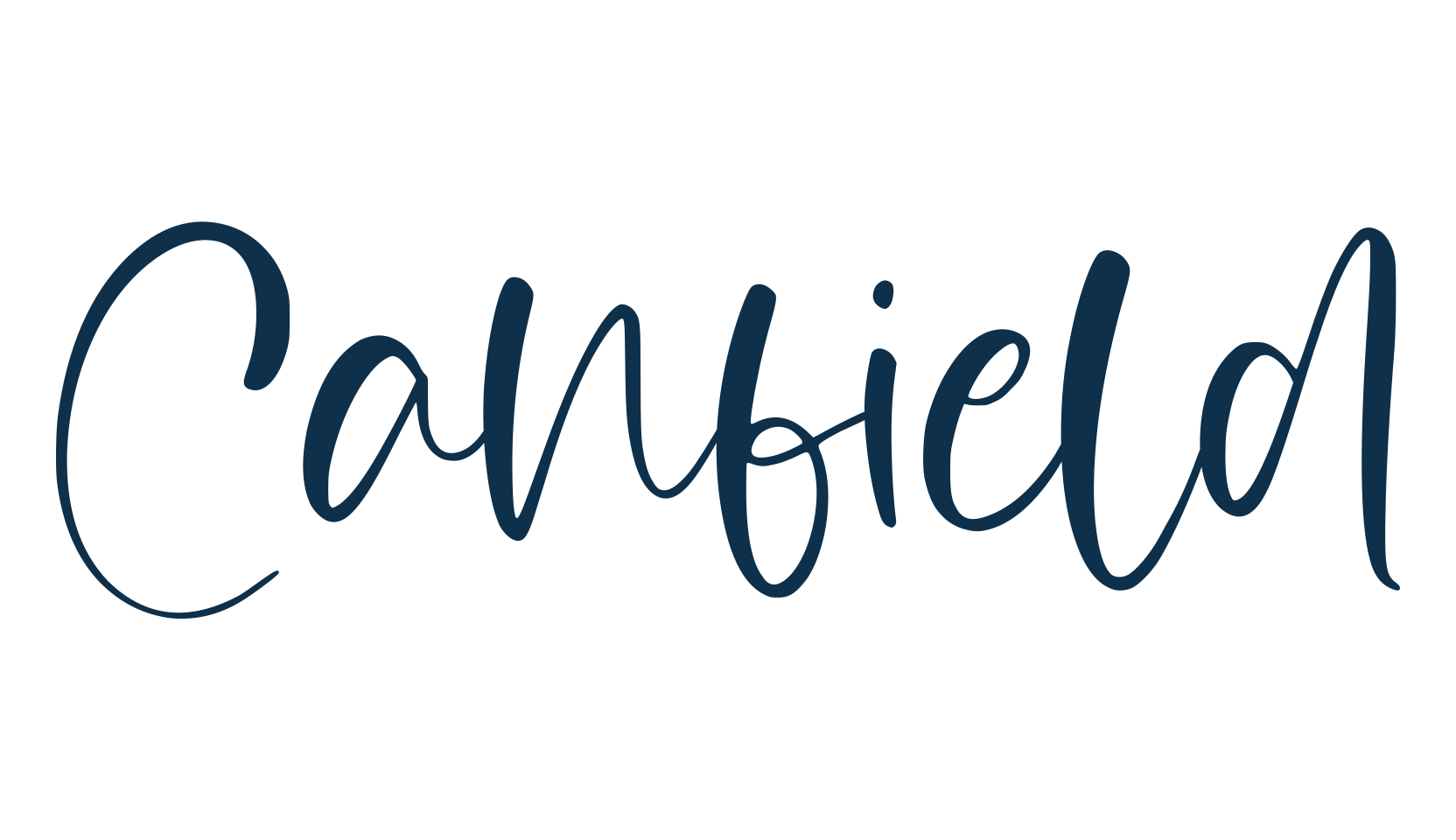 Canfield, script handwritten fancy decorative calligraphy font preview