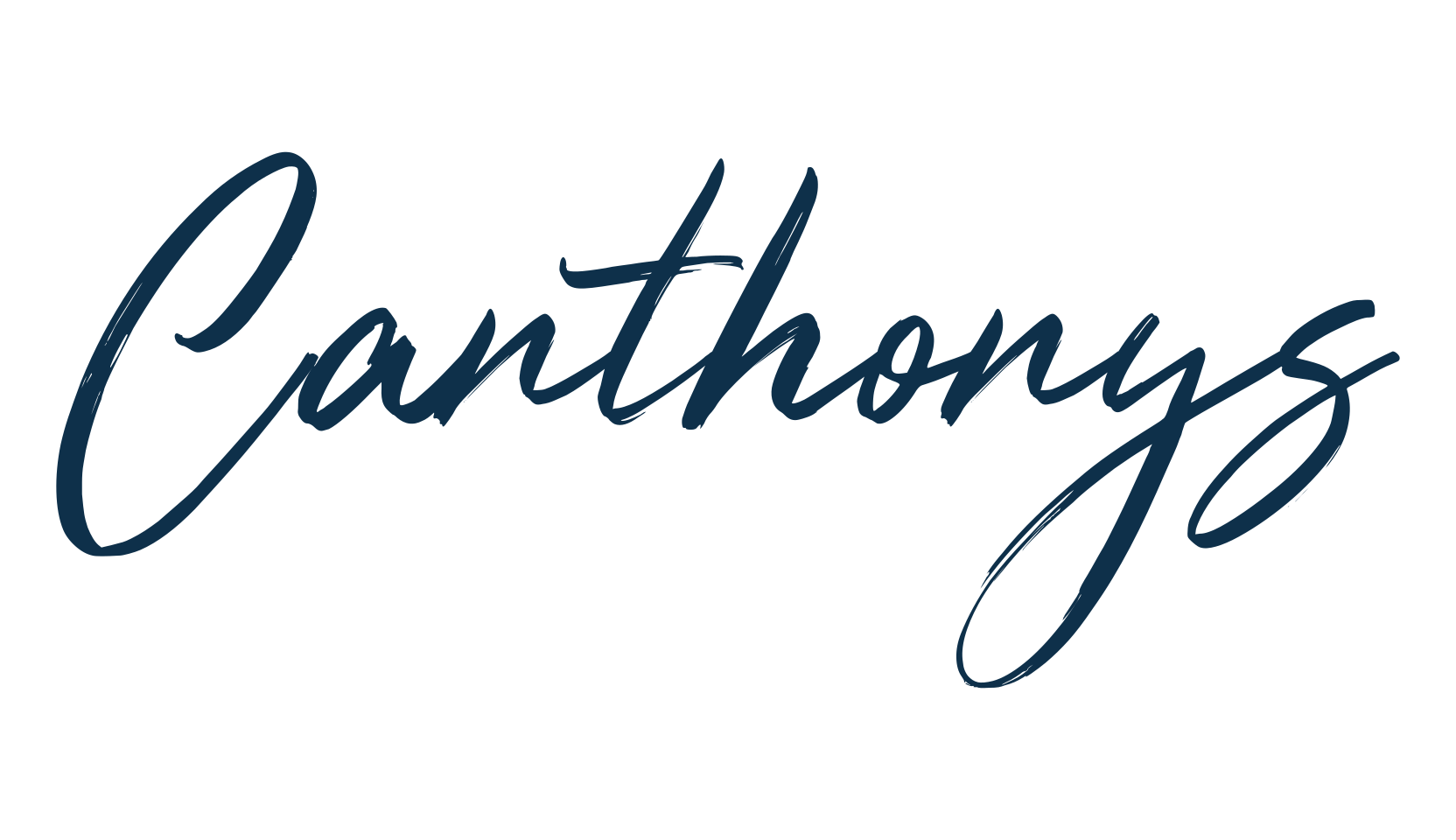 Canthonys, brush font preview