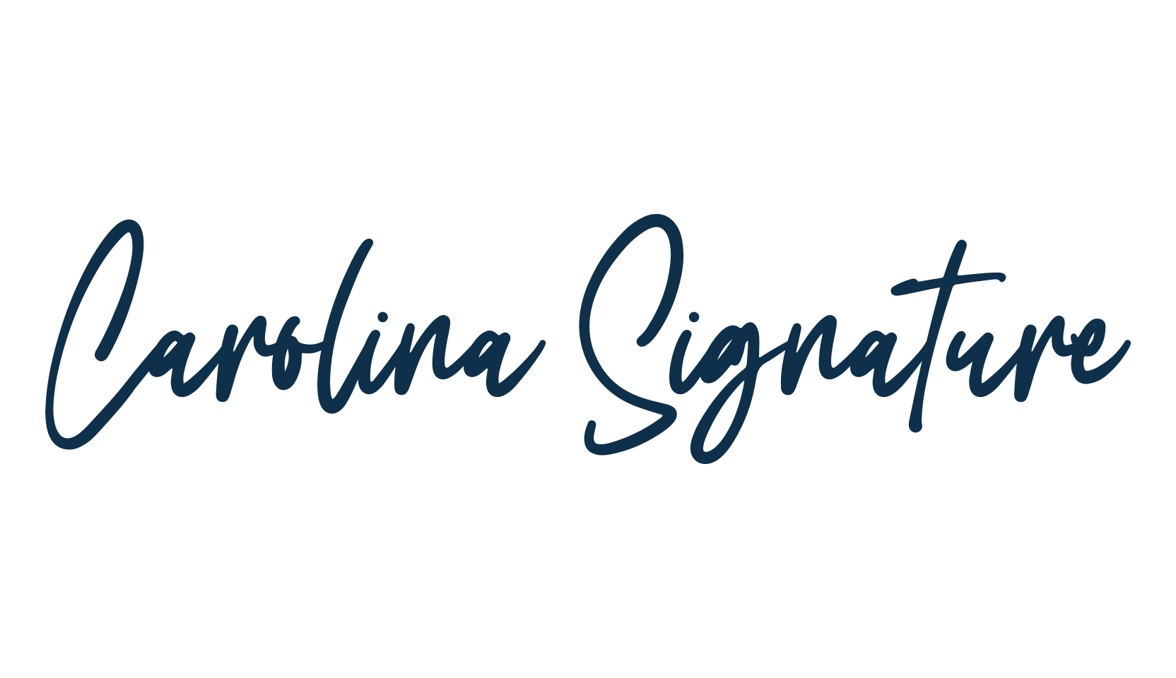 Carolina Signature, script handwritten fancy decorative calligraphy font preview