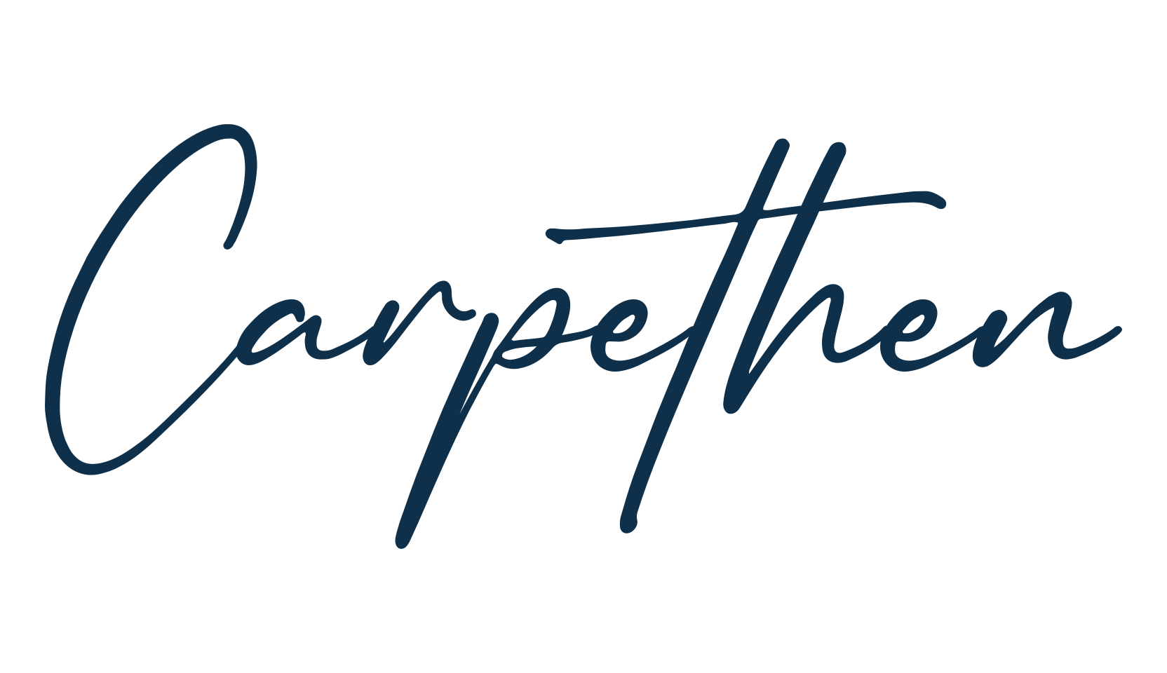 Carpethen, script handwritten fancy decorative calligraphy font preview