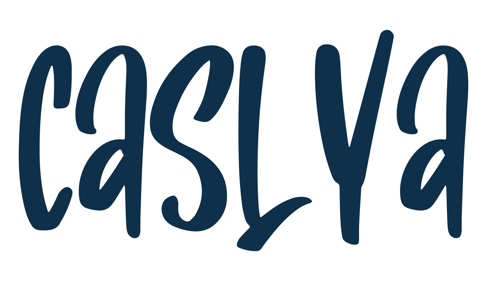 Caslya, script handwritten fancy decorative calligraphy font preview