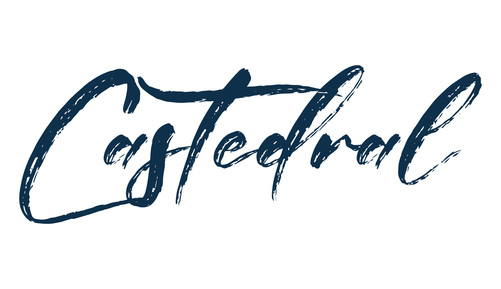 Castedral, script brush fancy decorative calligraphy font preview