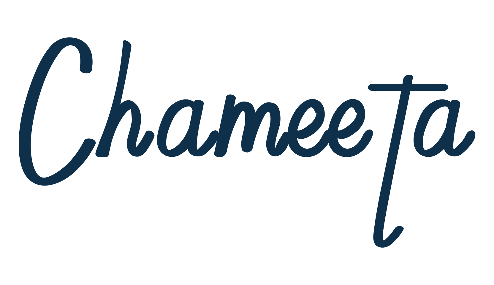 Chameeta, script handwritten fancy decorative calligraphy font preview