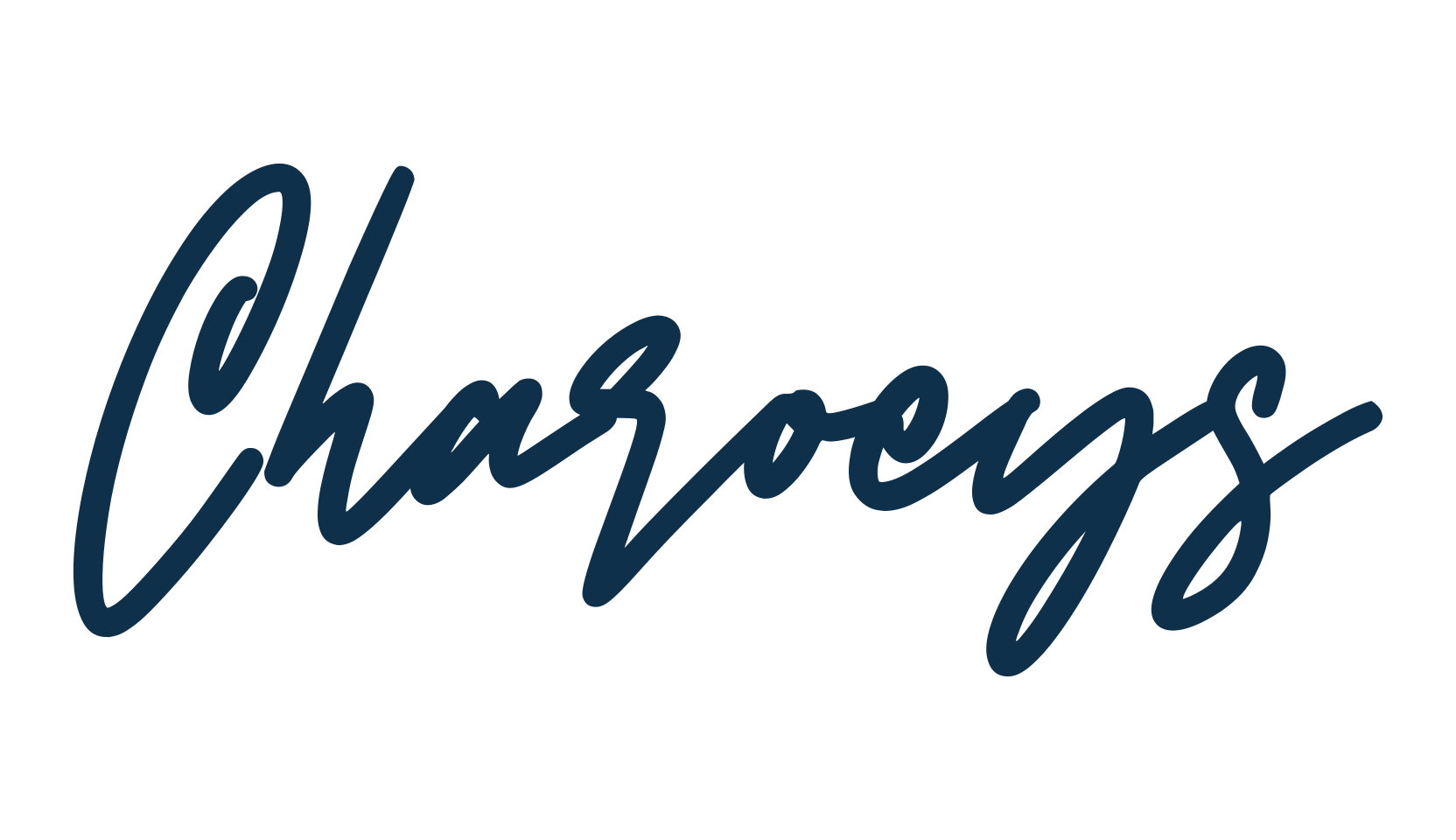 Charoeys, script handwritten fancy decorative calligraphy font preview