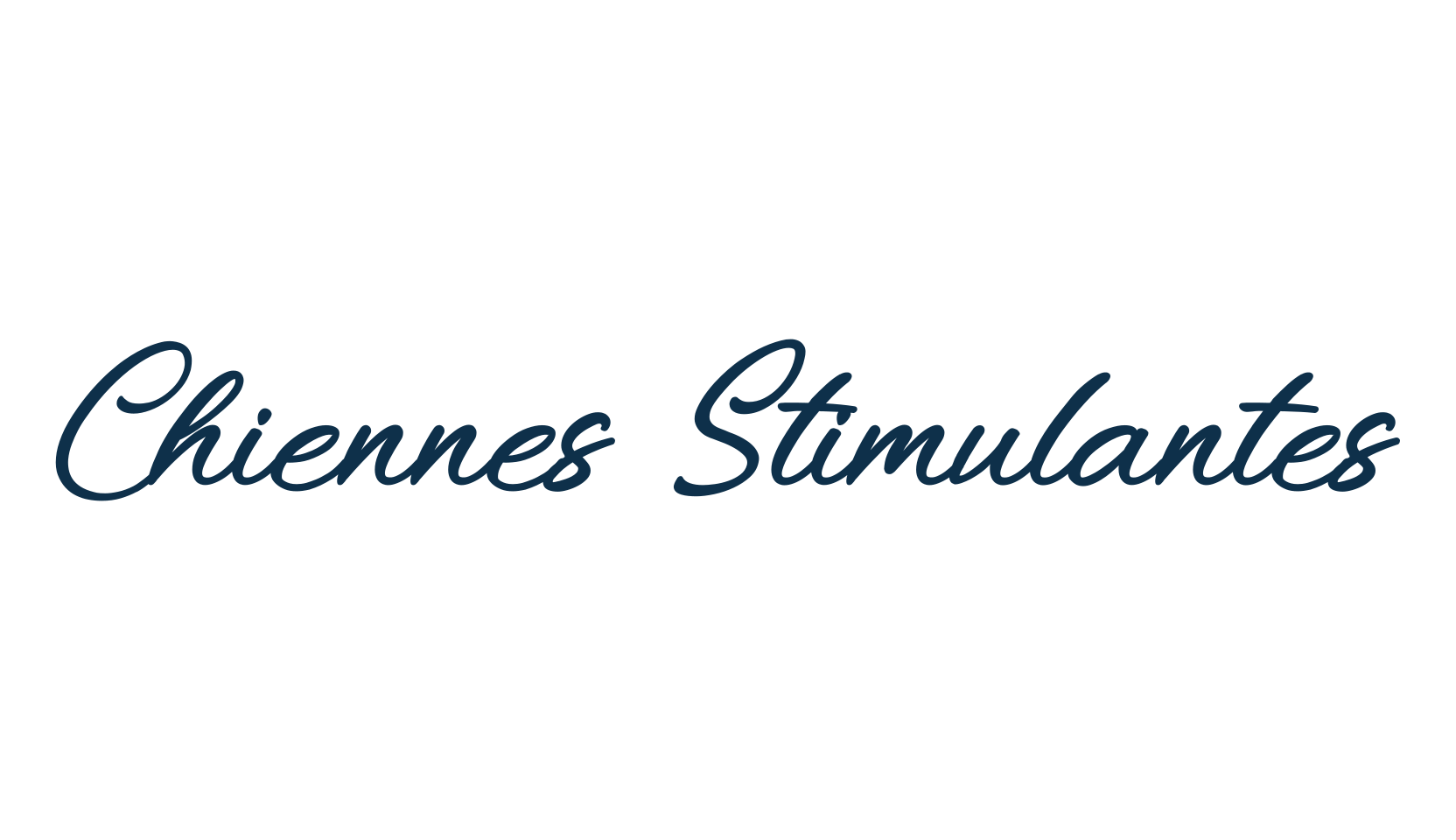 Chiennes Stimulantes, script handwritten fancy decorative calligraphy font preview