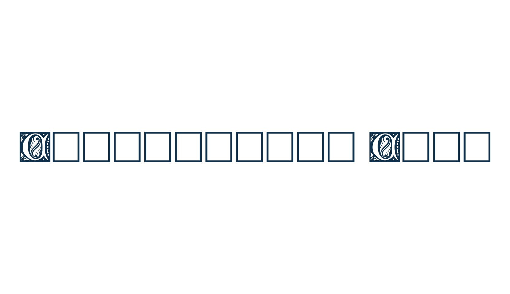 Christensen Caps, fancy initials gothic font preview