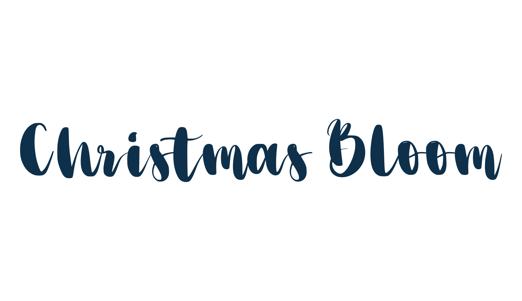 Christmas Bloom, fancy decorative font preview