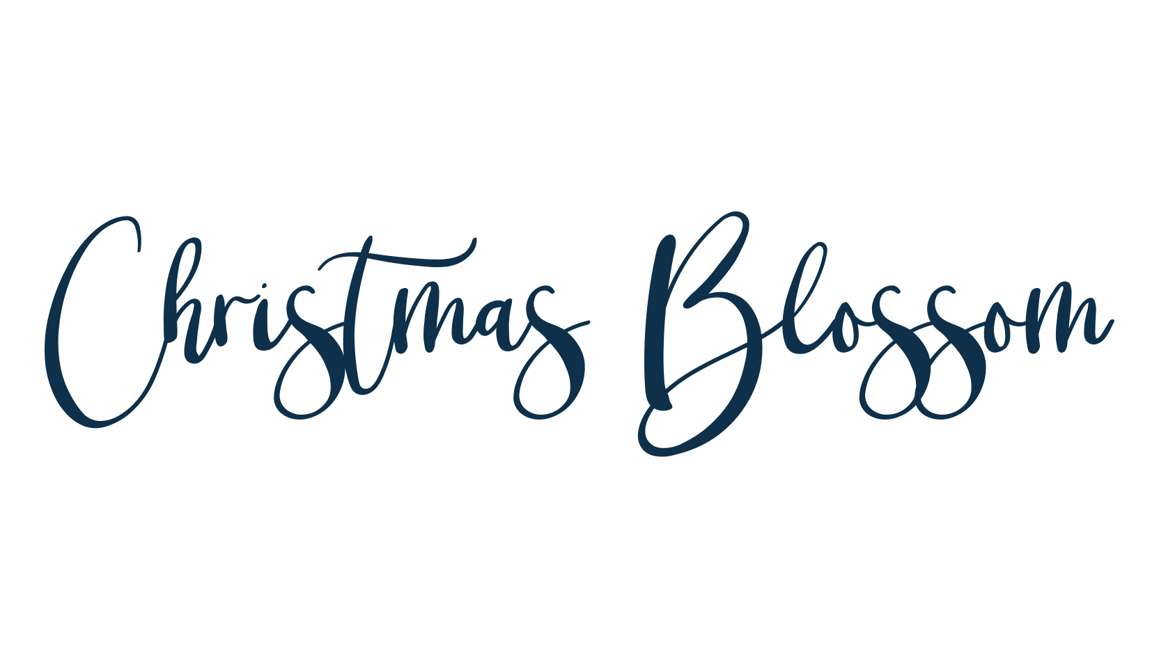 Christmas Blossom, display market font preview