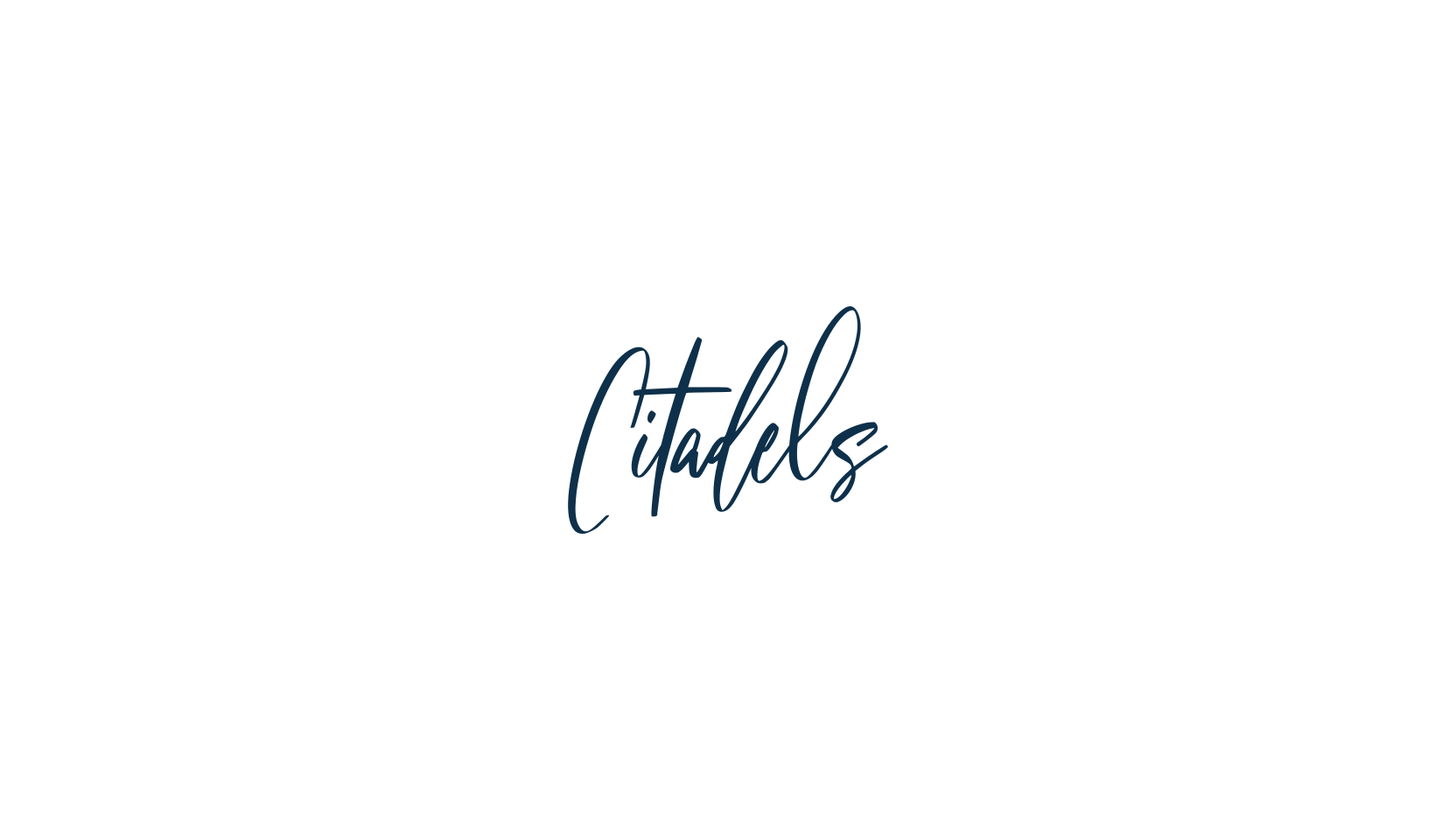 Citadels, script handwritten fancy decorative calligraphy font preview